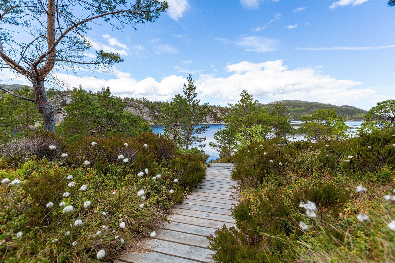I tillegg til havfiske, byr også nærområdet på mange muligheter for ferskvannsfiske bla i Imstervatnet og Terningsvatnet. Galleribilde