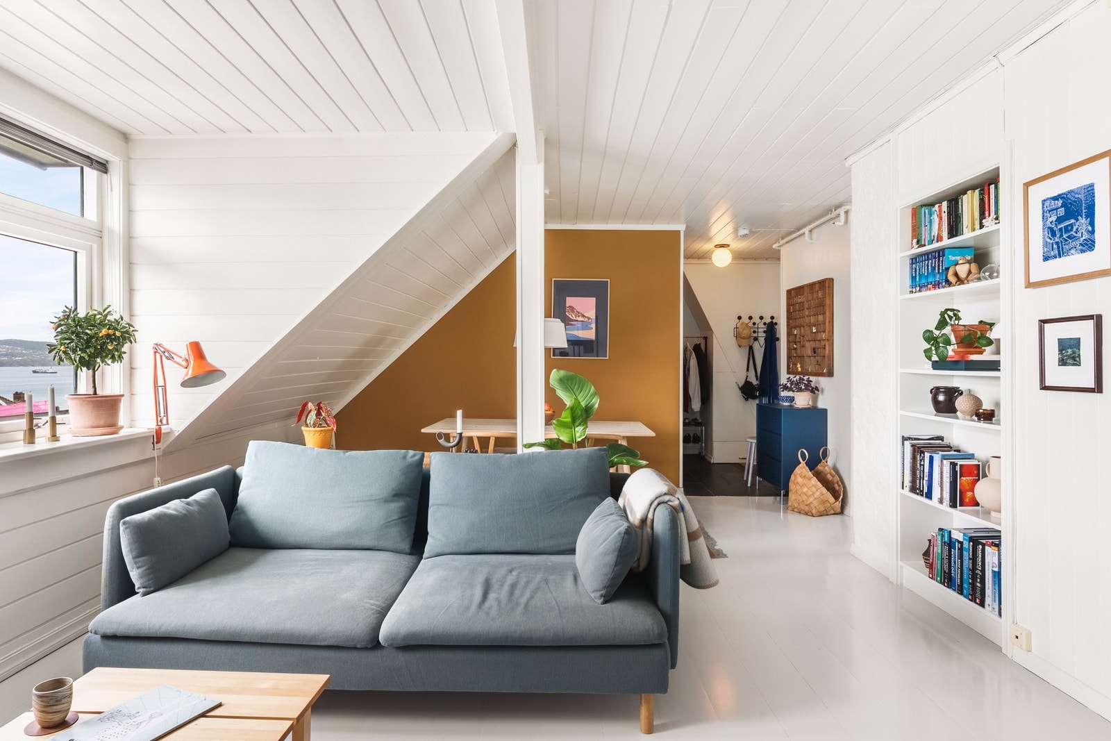 Her ligger alt til rette for å kunne trives. Galleribilde