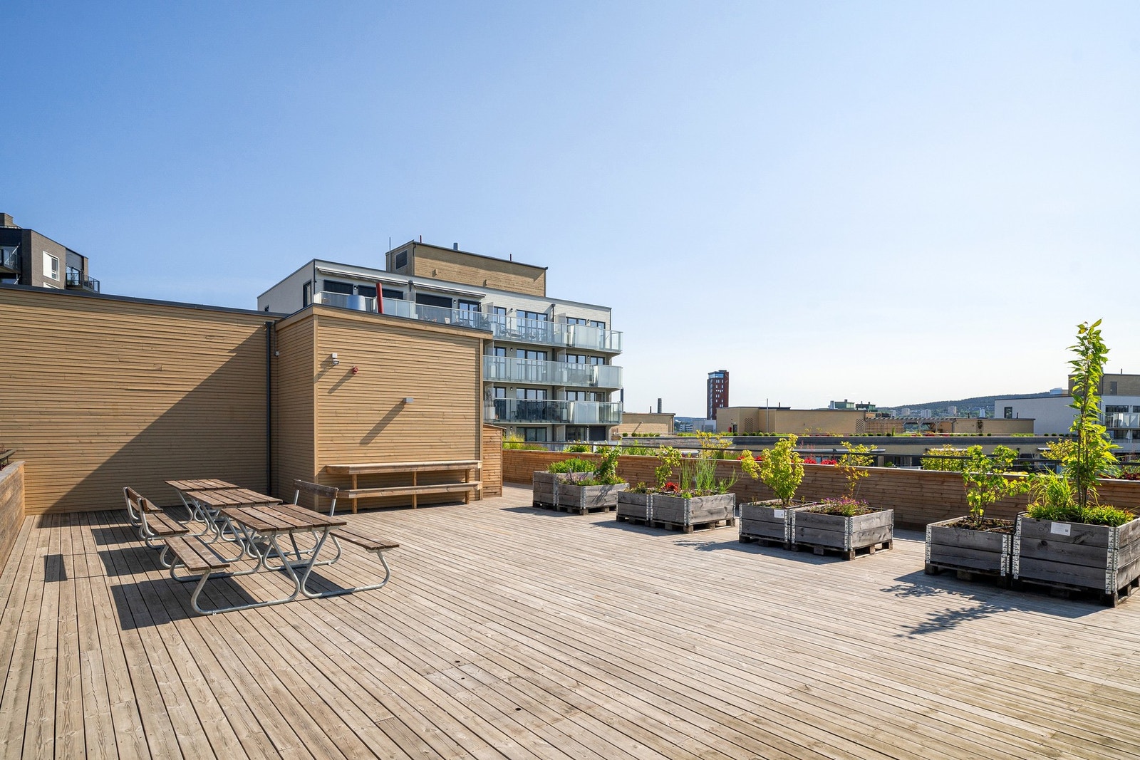 Takterrassen er pent opparbeidet med flere sittesoner og diverse beplantning. Galleribilde