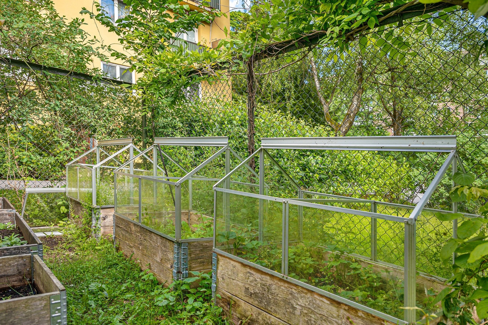 Plantekasse som tilhører sameiet er tilgjengelig for beboere. Galleribilde