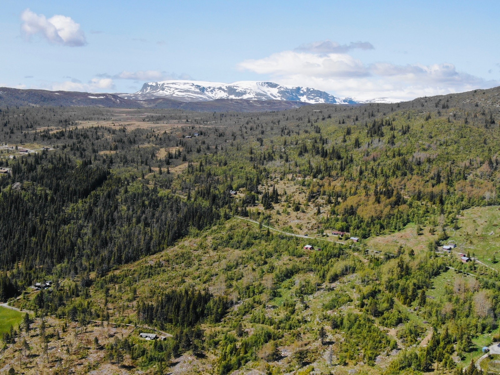Lokal Eiendomsmegler MNEF/Partner/Økonom - Ådne Holestøl Hognerud har gleden av å presentere dette flotte hyttefeltet i Hingsavegen - Geilo Nord. Galleribilde