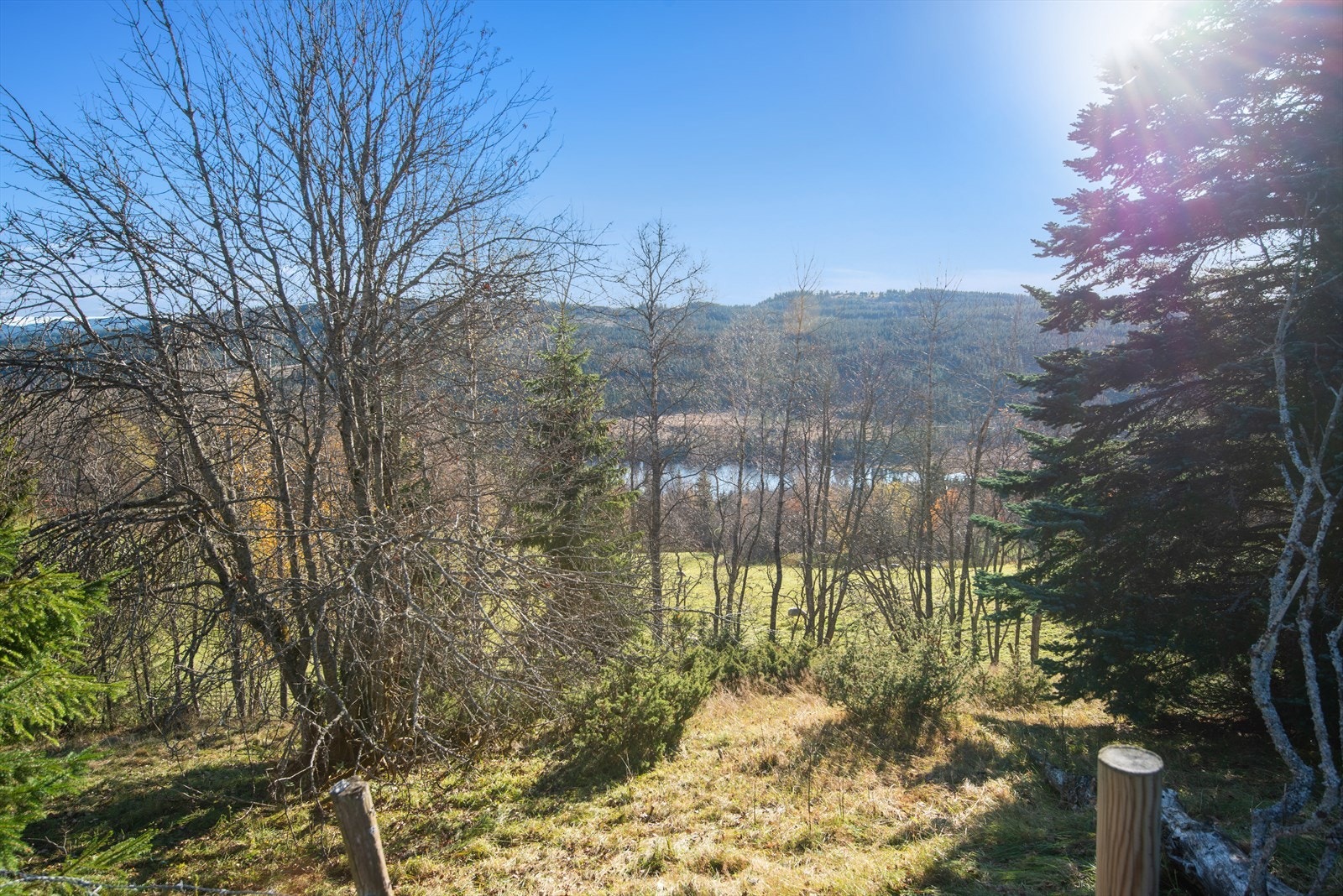 Mot vannet Galleribilde