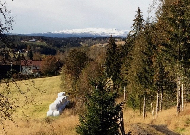 Bilde tatt av eier Galleribilde