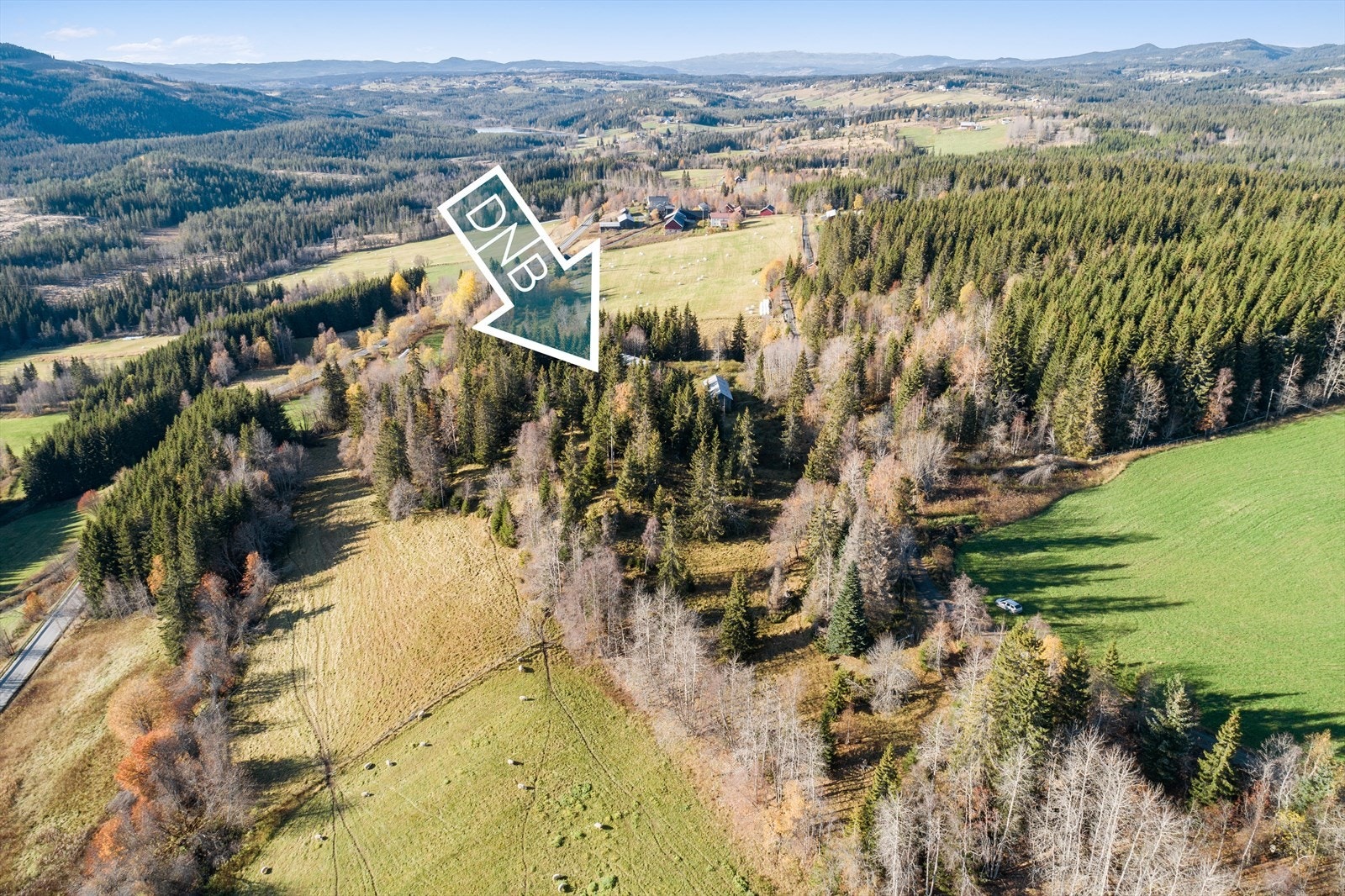 Område Galleribilde