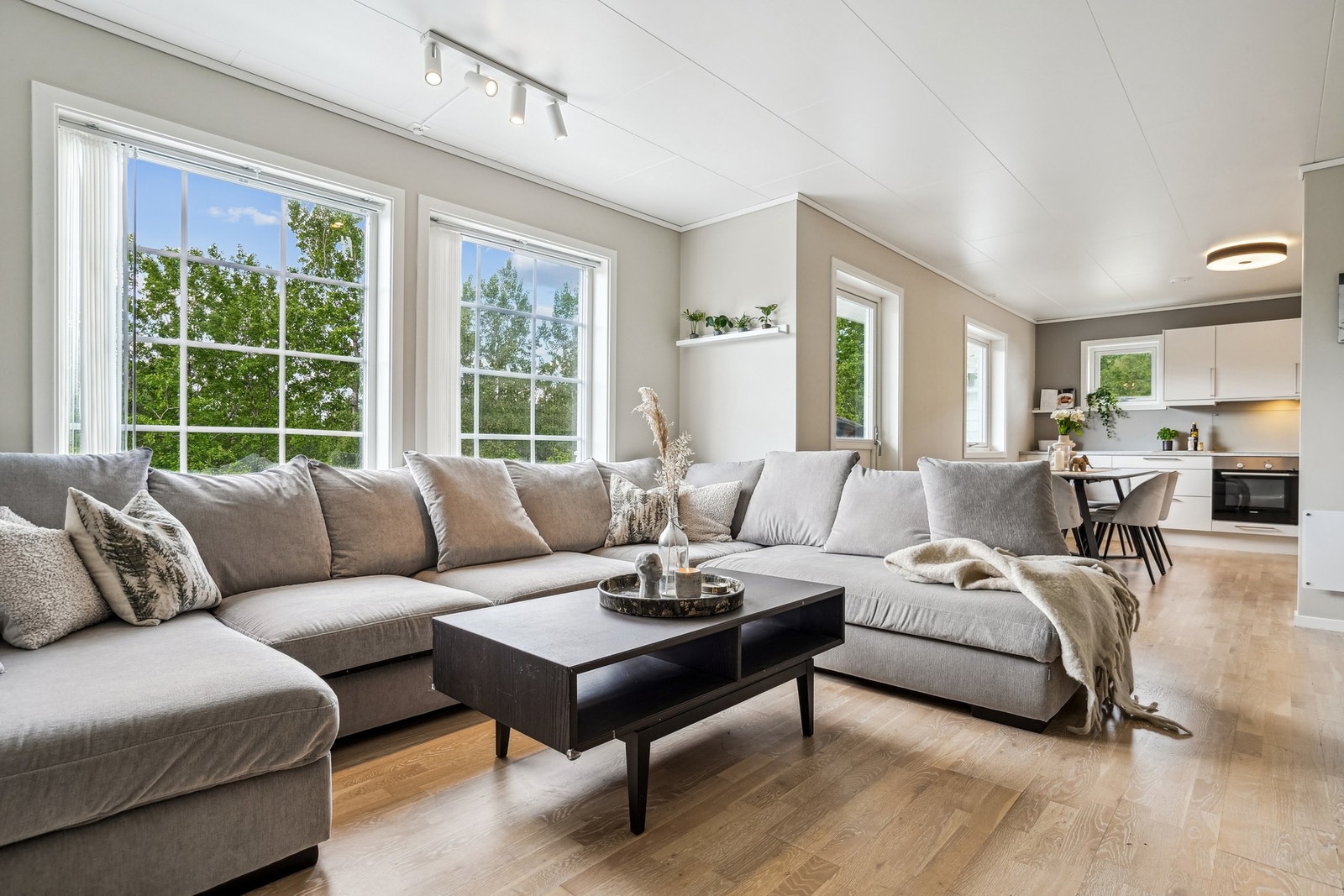 EIE presenterer Elveberget 6A! Galleribilde