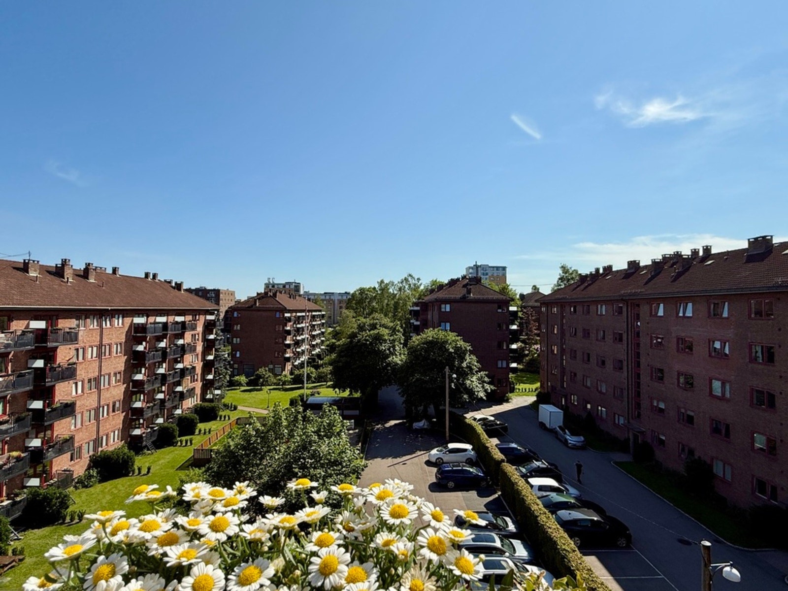 Helt på toppen, og med nydleig utsikt. Galleribilde