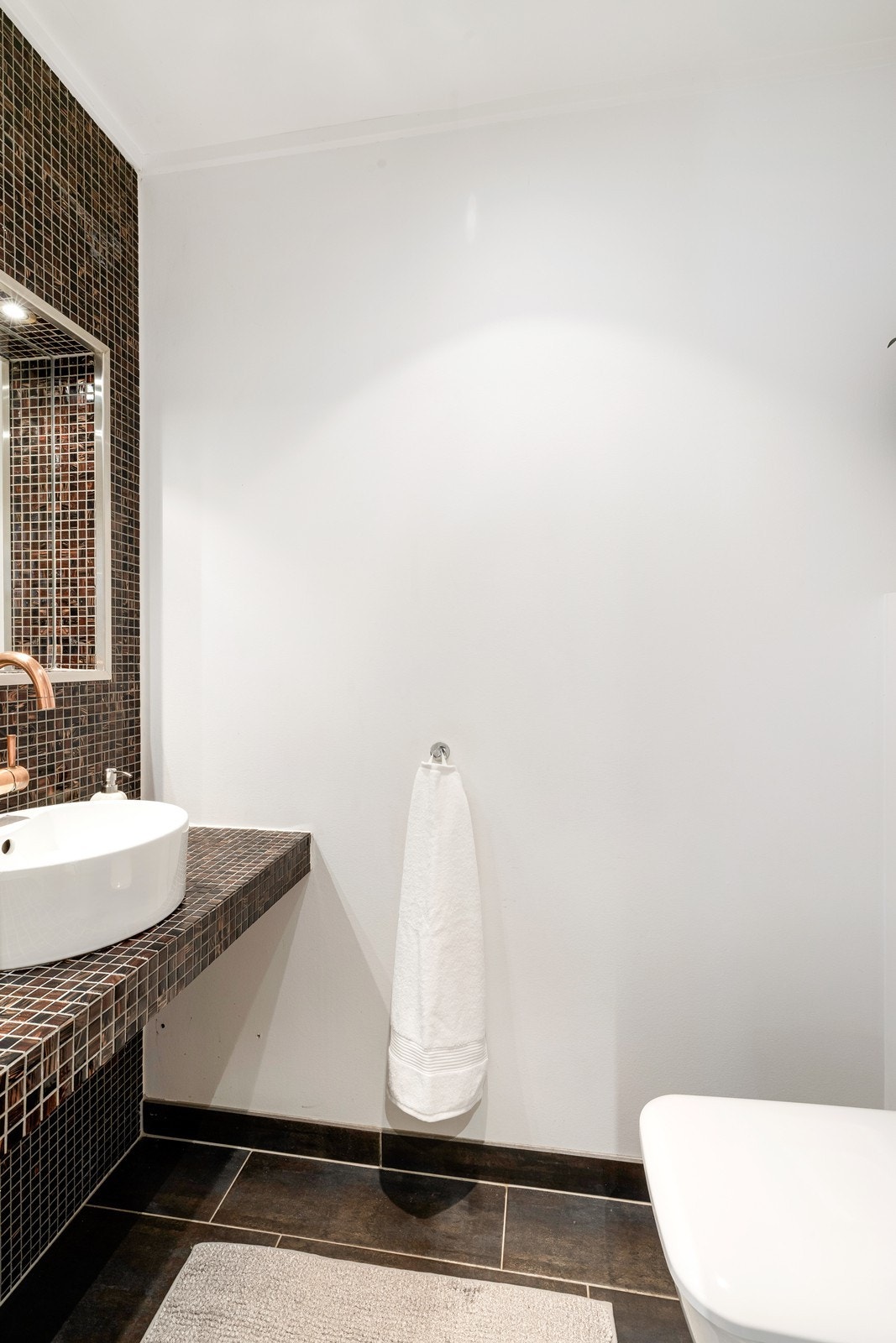 Gjestetoalett. Galleribilde