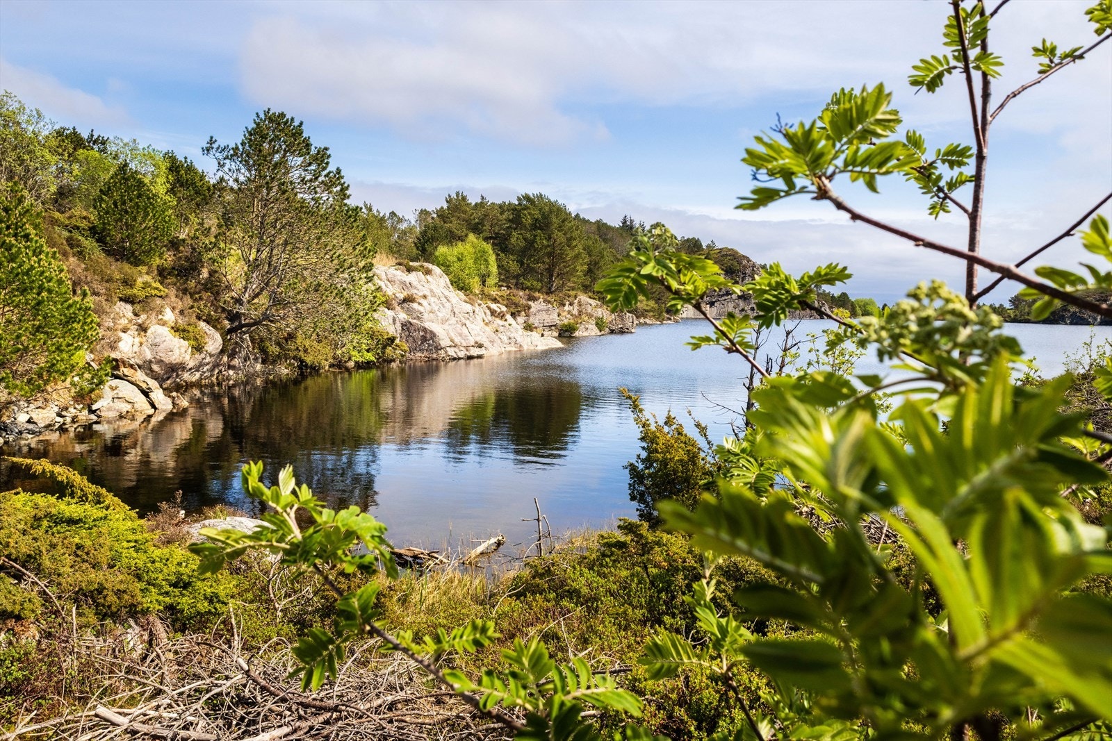 Området er svært tilrettelagt for deg som er glad i en aktivisert hverdag, enten det er tur langs Midtvatnet og Speiderskogen eller klatring i Hesteveggen. Galleribilde