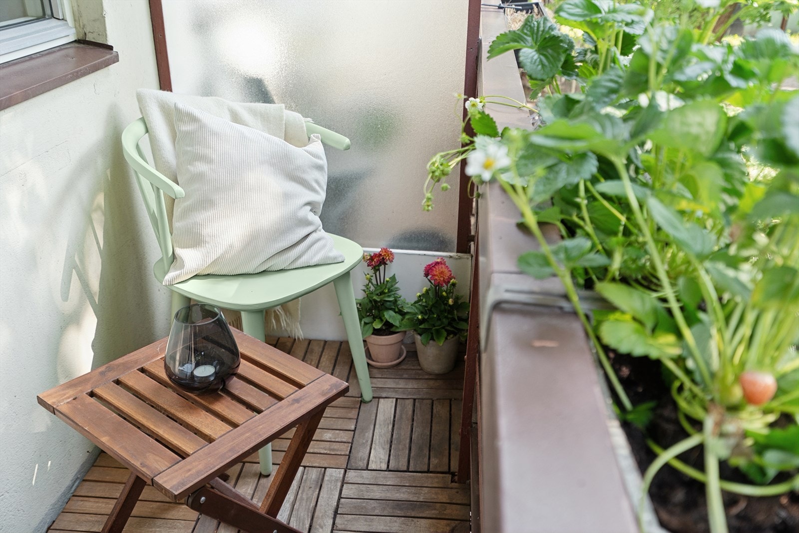 Hva med et jordbær? - Her kan det høstes for egenproduserte vekster. Galleribilde