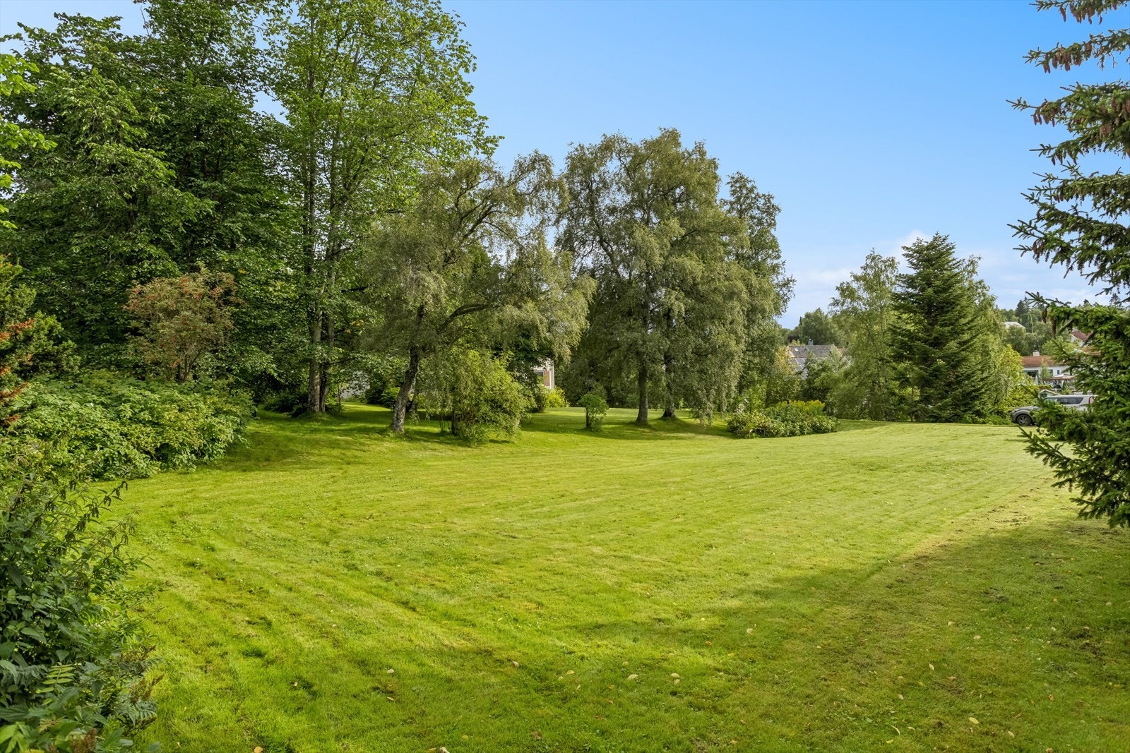 Store plenarealer og diverse trær på tomta. Galleribilde