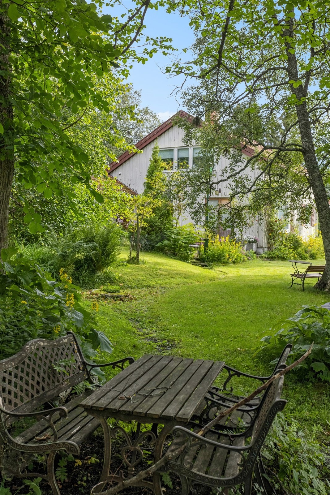 Fra hagen. Galleribilde