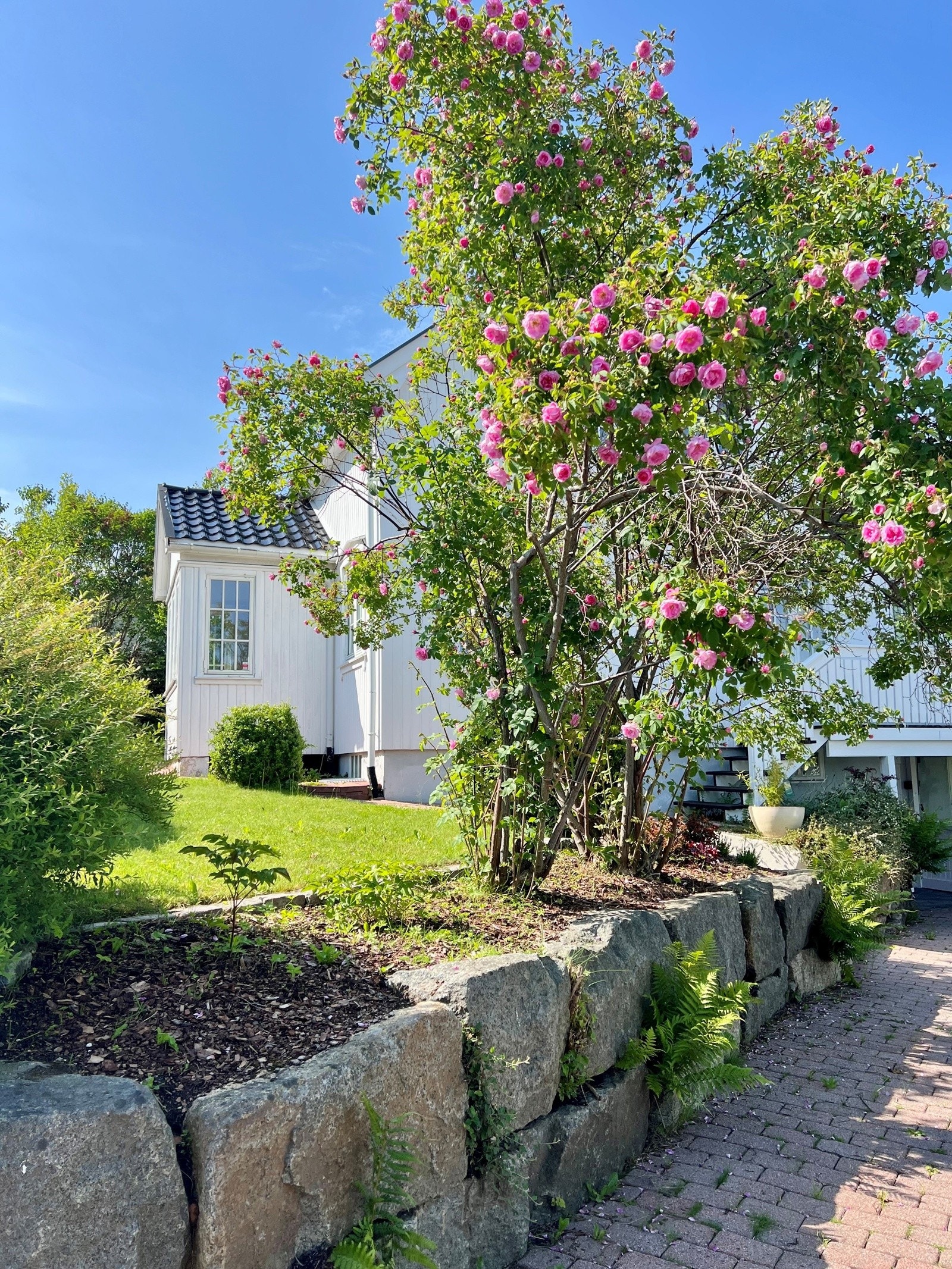 Sommer:-) Galleribilde