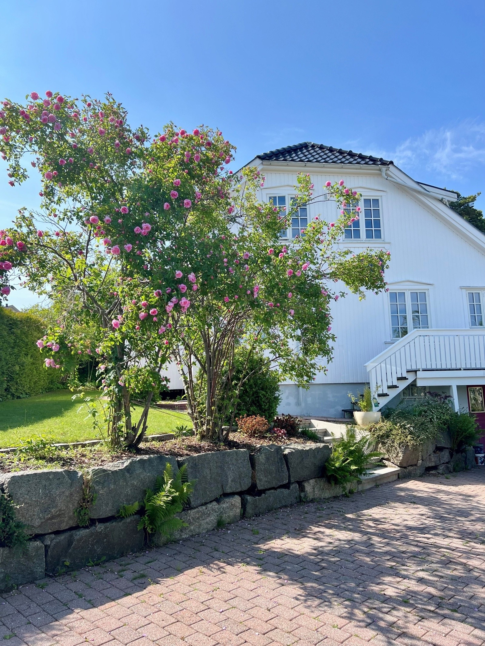 Selgers bilde Galleribilde