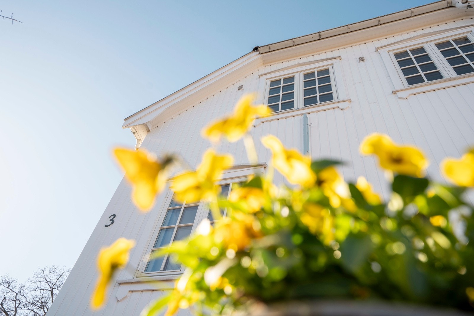 Varmegradene er på vei! Galleribilde