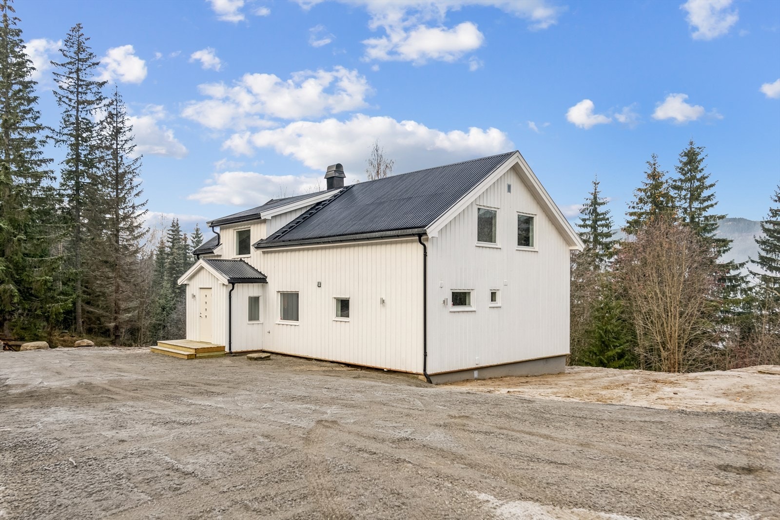 Fasade. Galleribilde