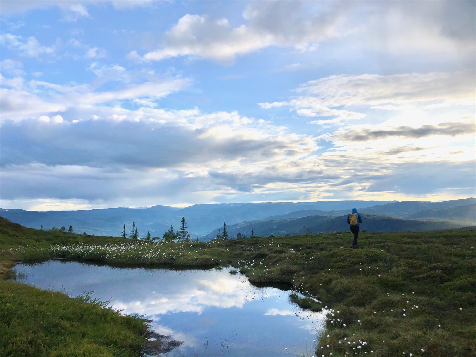 objpict_4492535848251_0.jpg Galleribilde