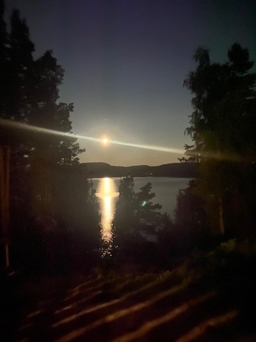 Selgers eget bilde Galleribilde