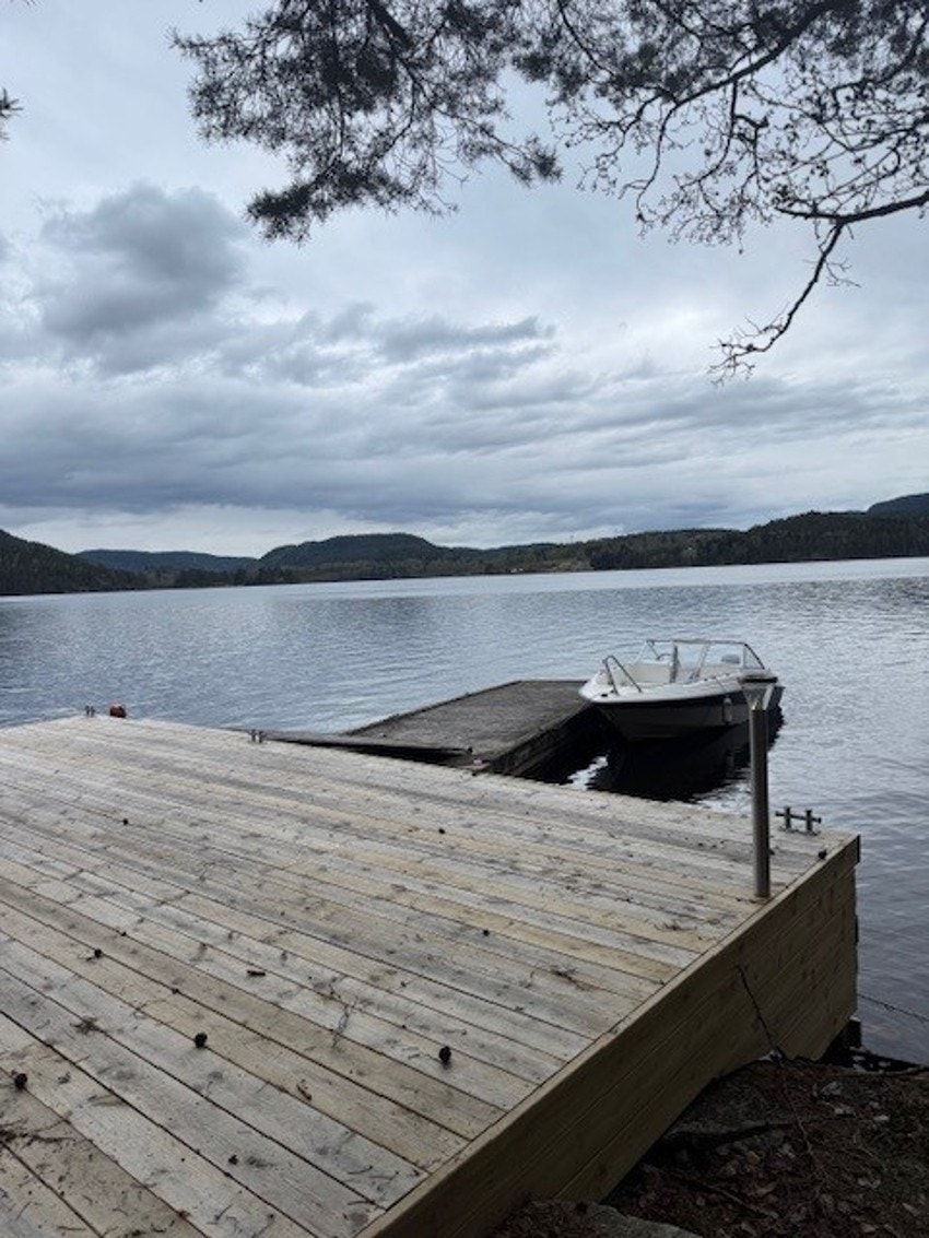 Selgers eget bilde Galleribilde