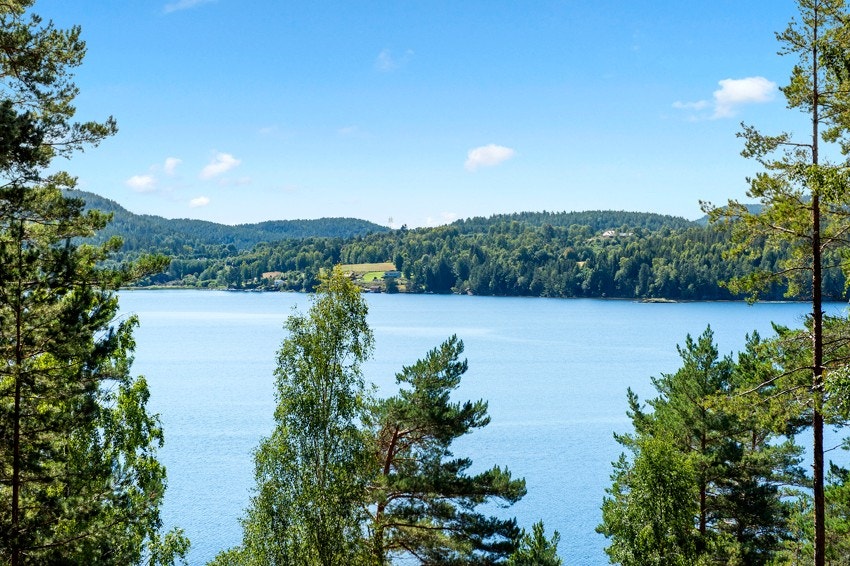 Fin utsikt Galleribilde