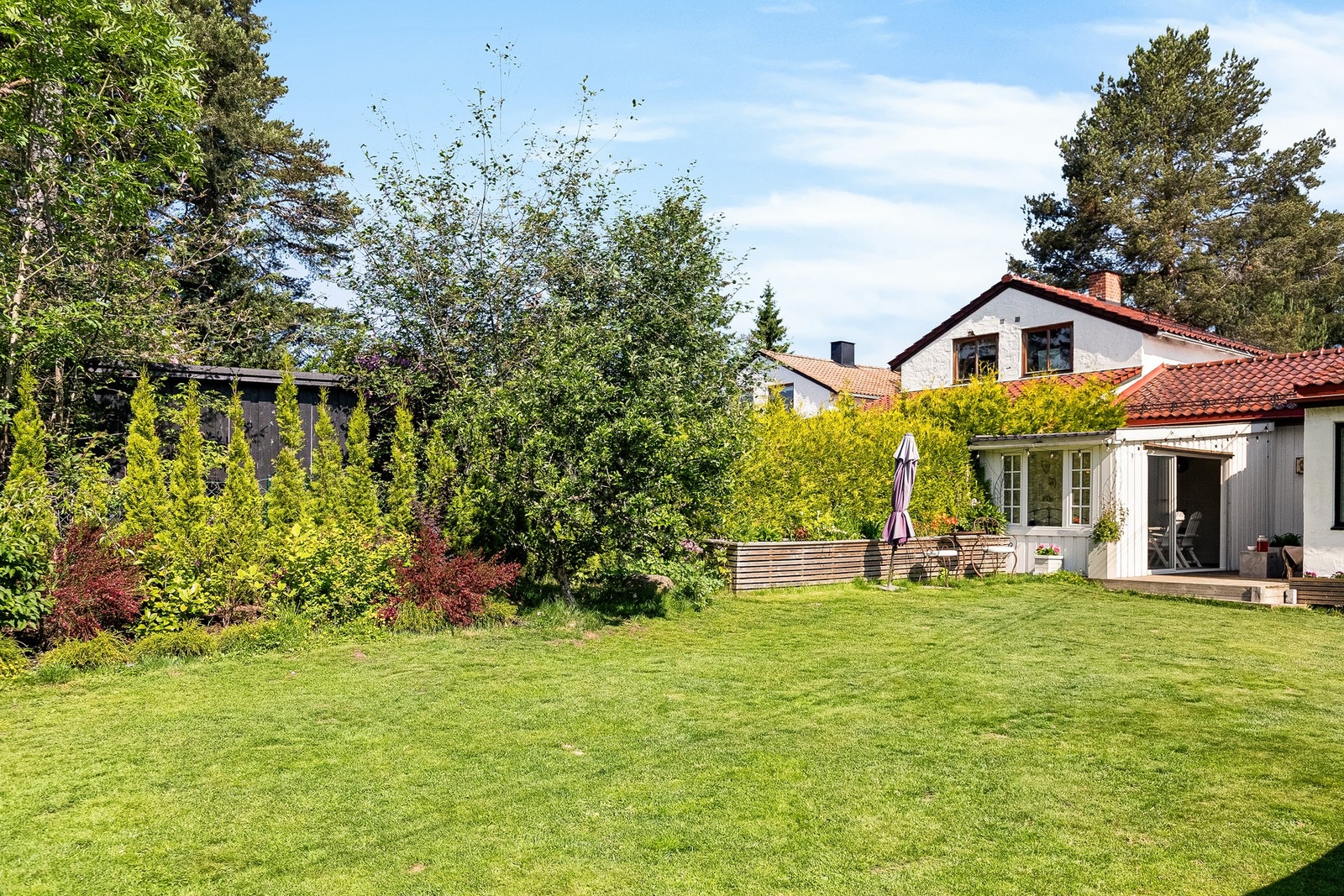 Lettstelt hage, avskjermet med tujahekk Galleribilde