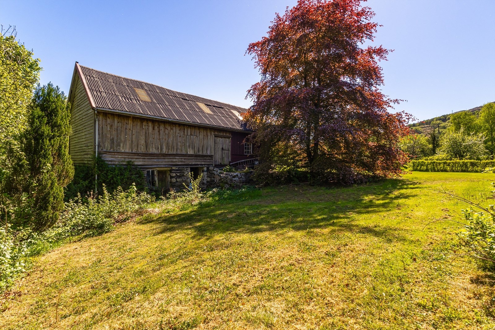 Løe er på ca. 98 kvm. og er i dårlig stand. Galleribilde