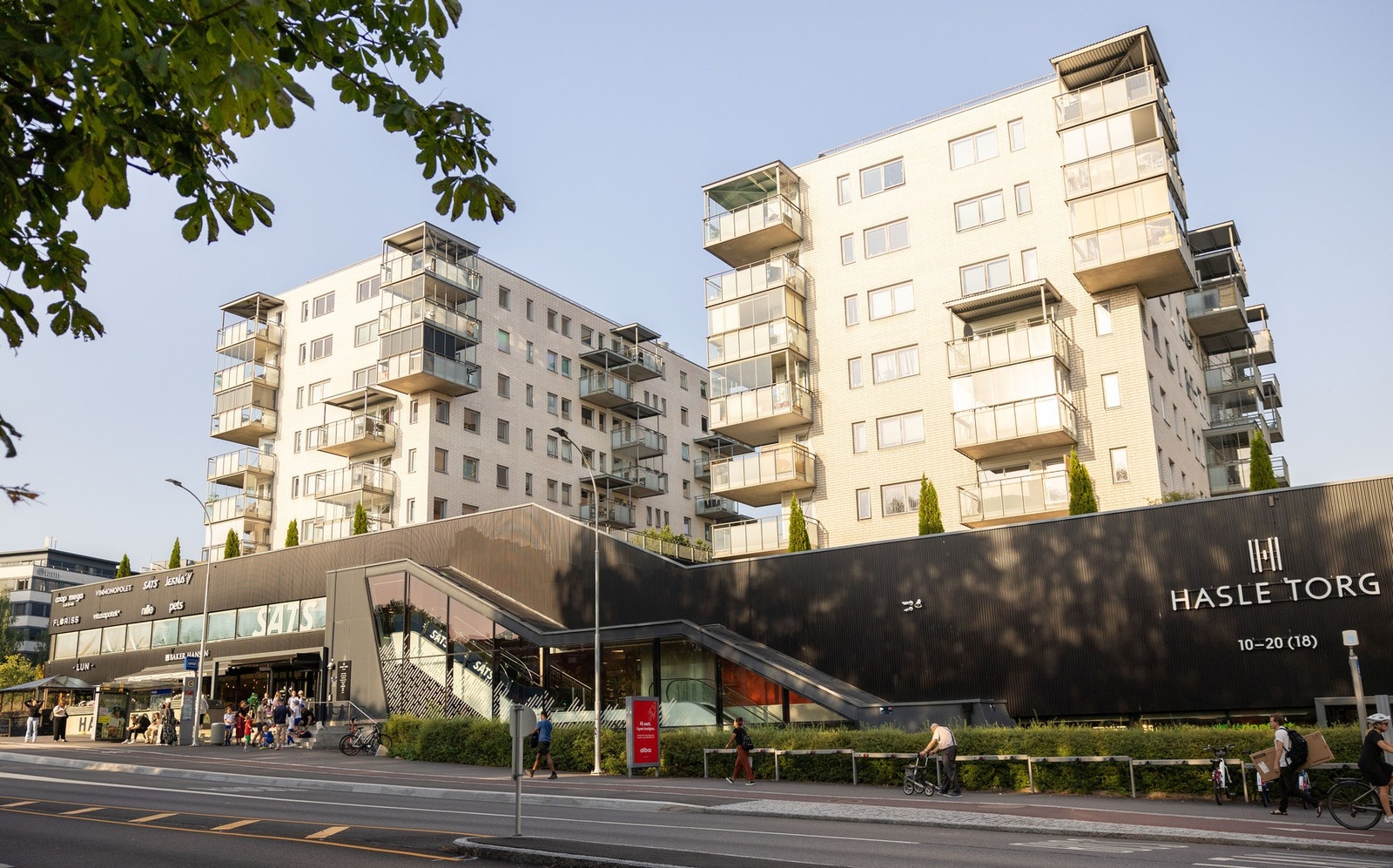 Næområde. Galleribilde