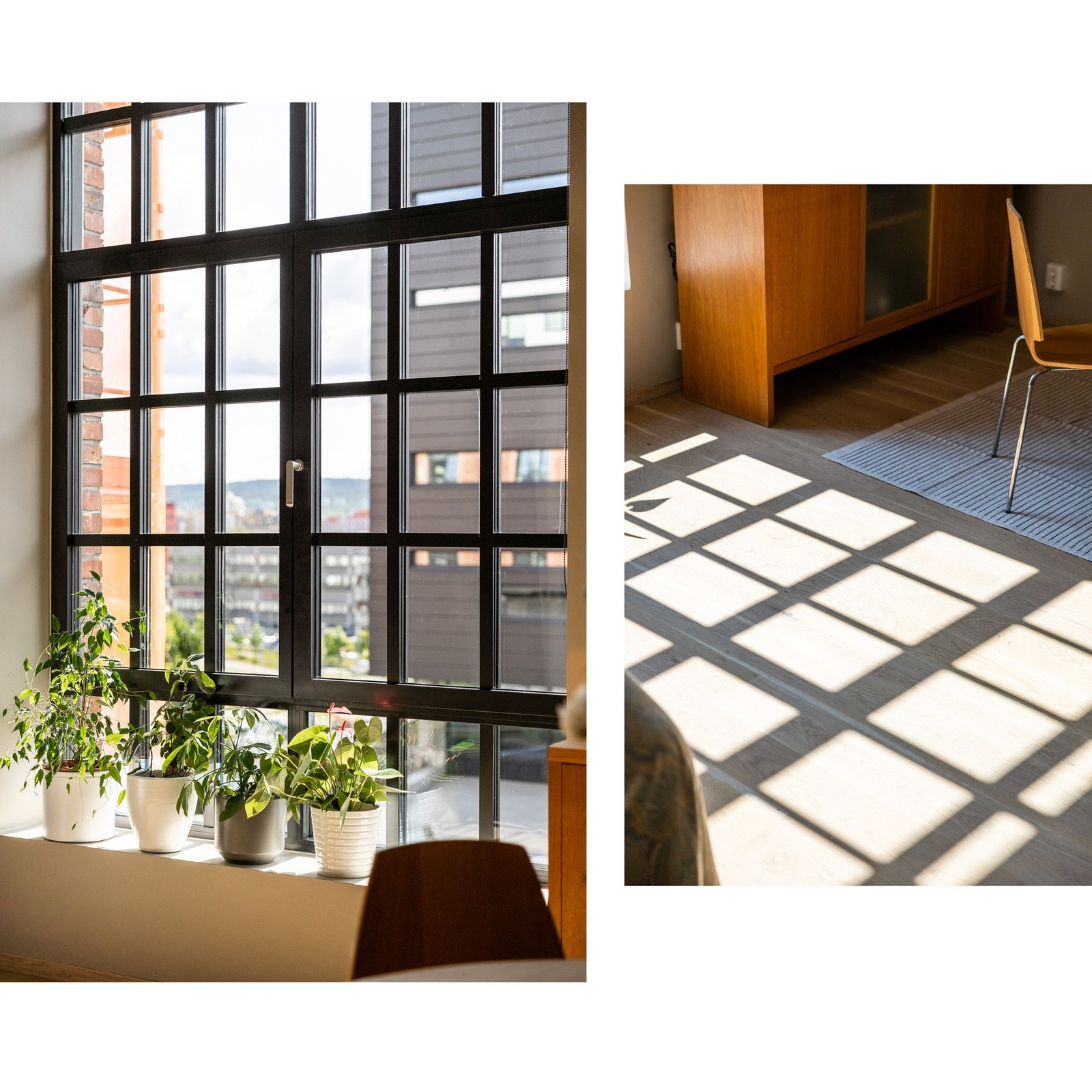 Det er rikelig av naturlig lysinnslipp i leiligheten. Galleribilde