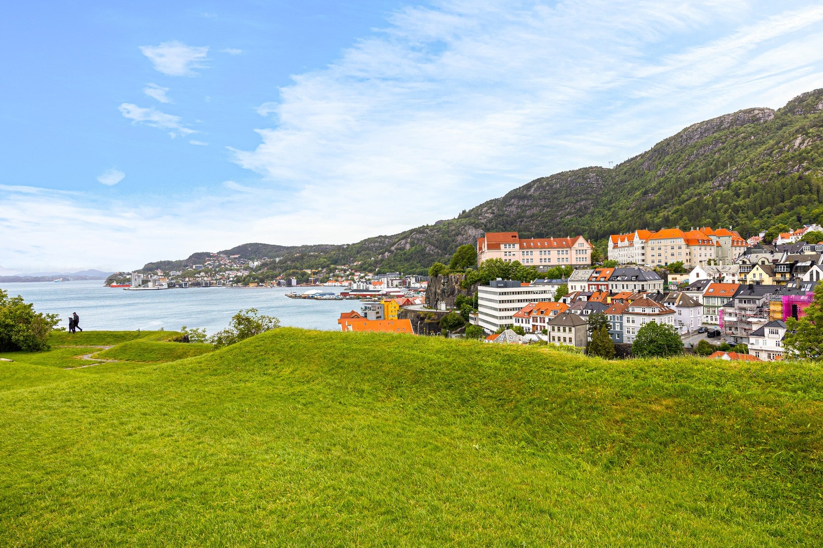 Nærområde. Galleribilde