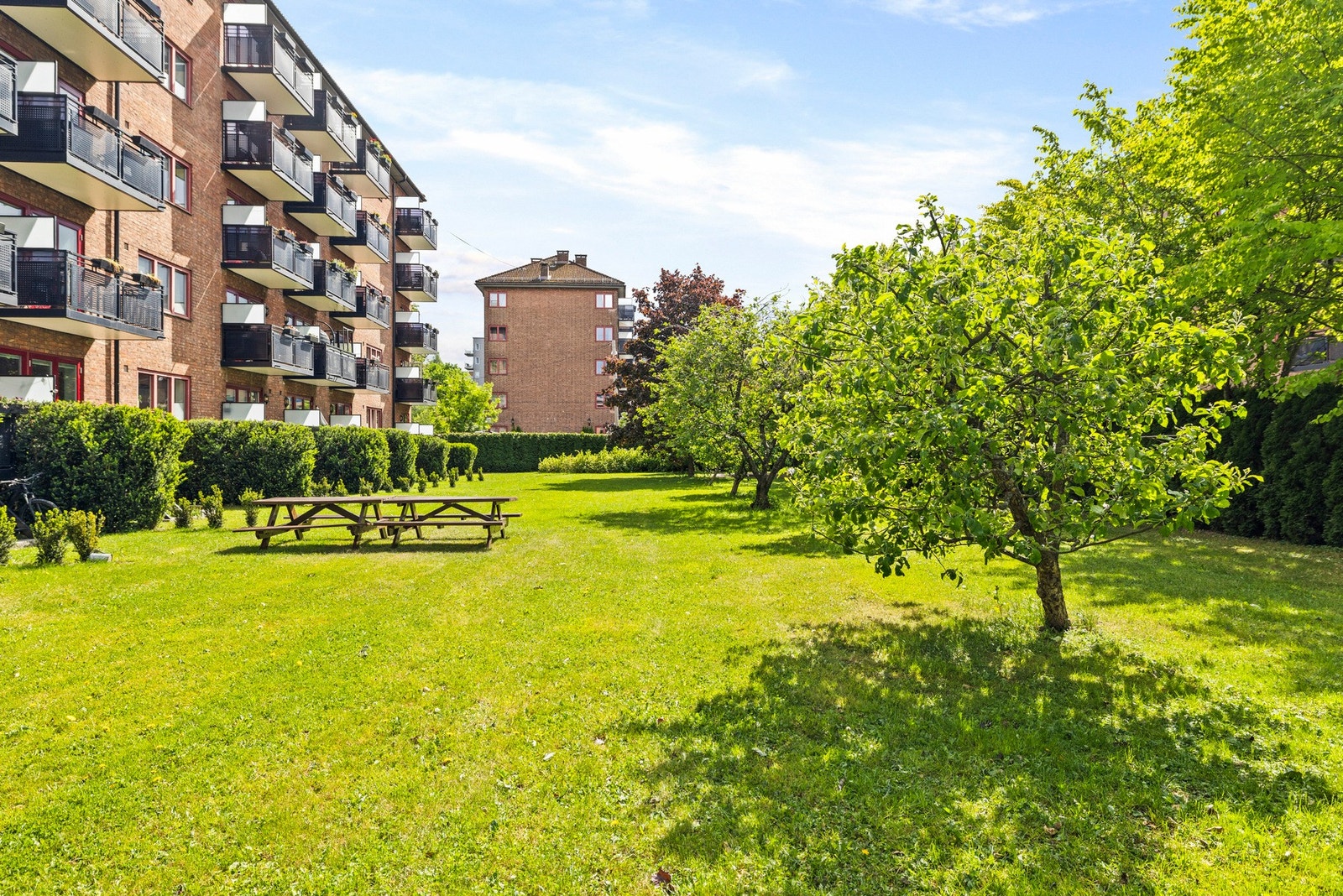 - Maridalsveien Borettslag består av 356 andelsleiligheter fordelt på 7 blokker - Galleribilde