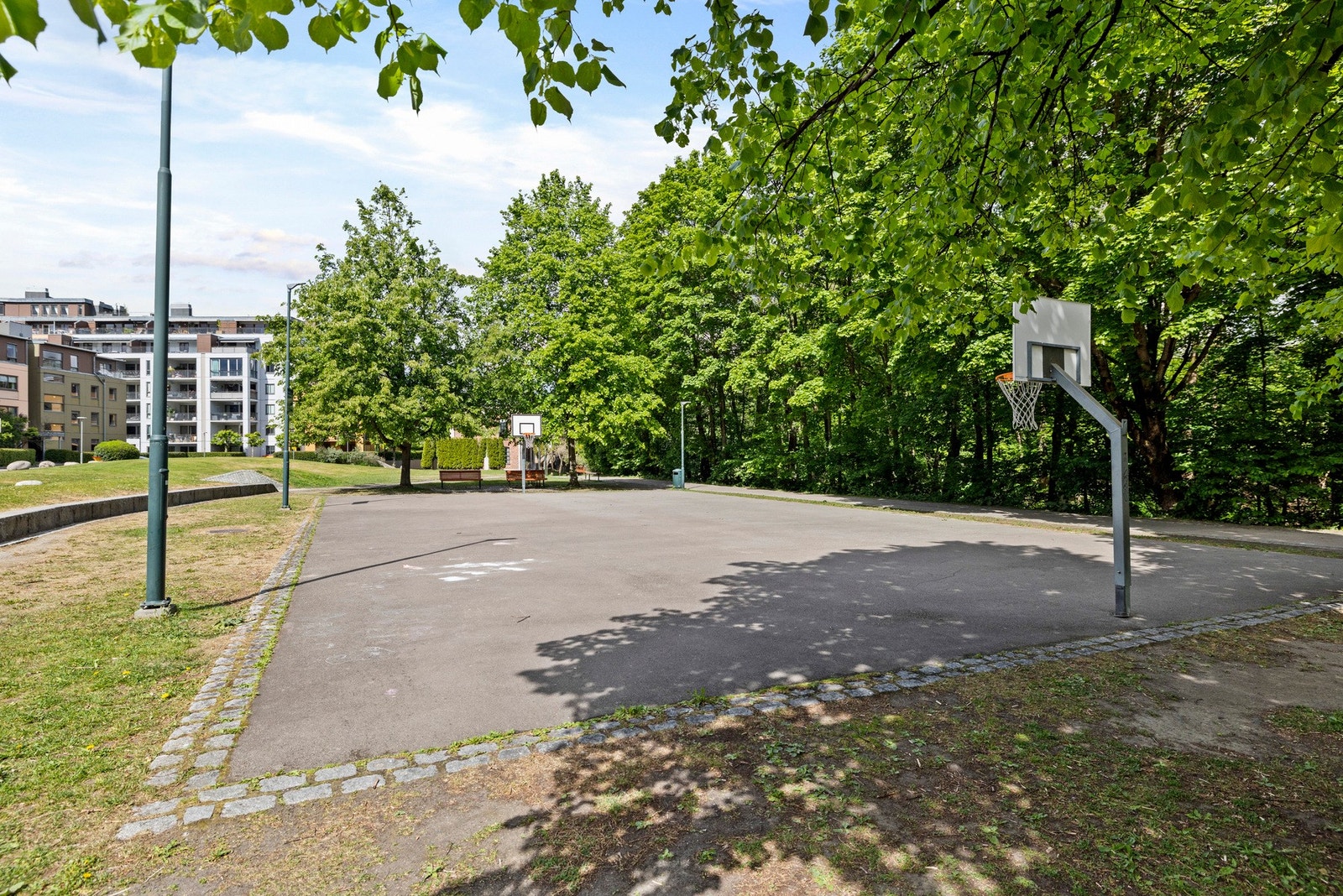 - Nærområde - Galleribilde