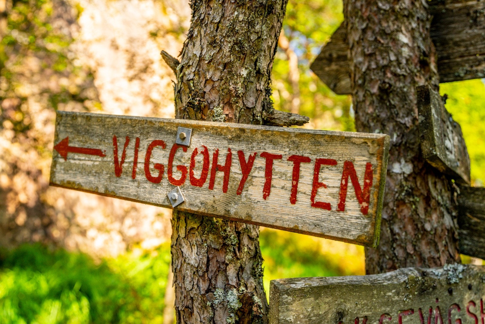 Viggohytten Galleribilde