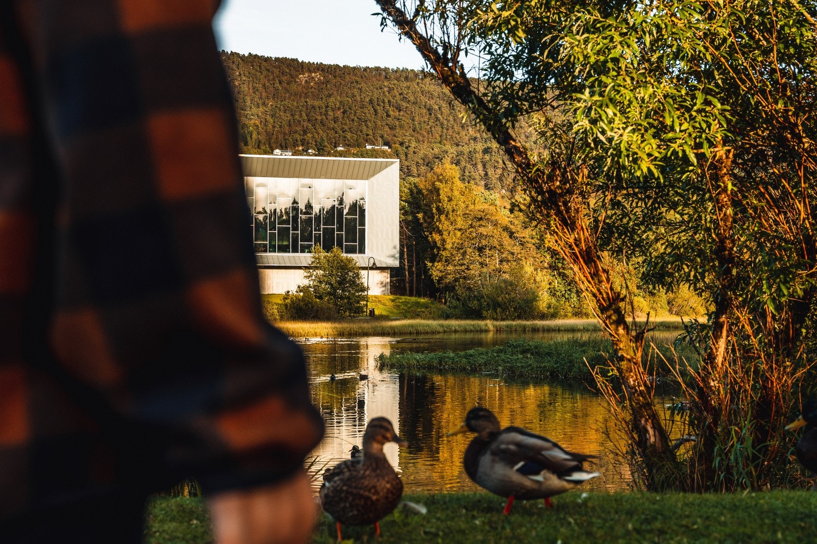 Ortun Svømmehall Galleribilde