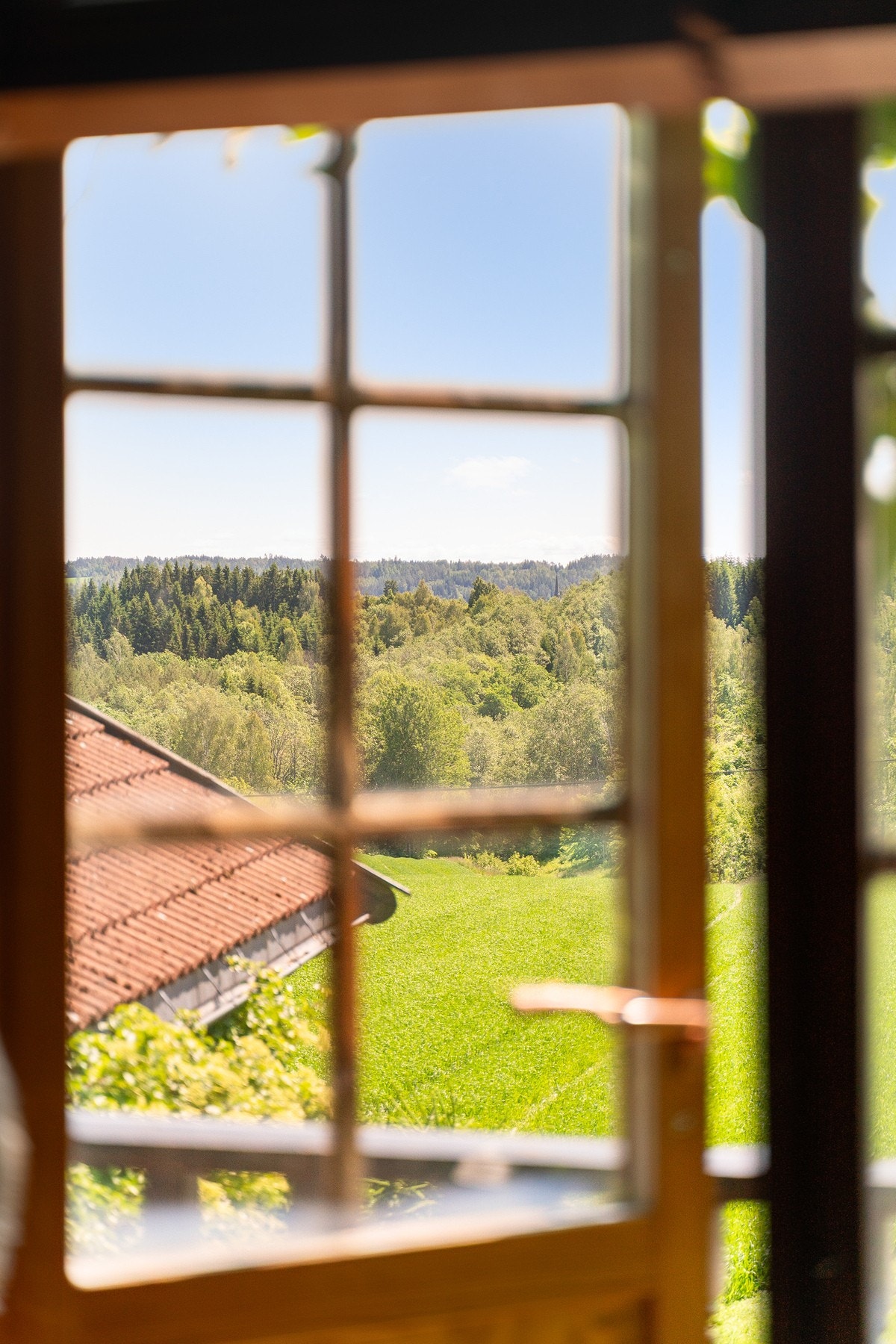 Fantastisk utsikt Galleribilde