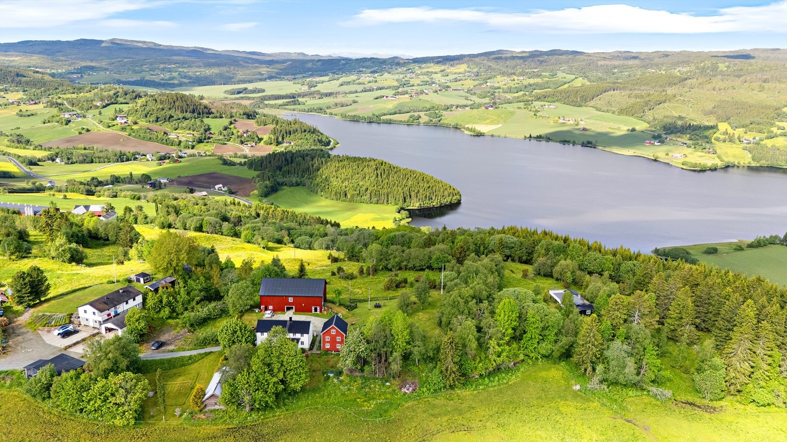 Flotte omgivelser og natur Galleribilde