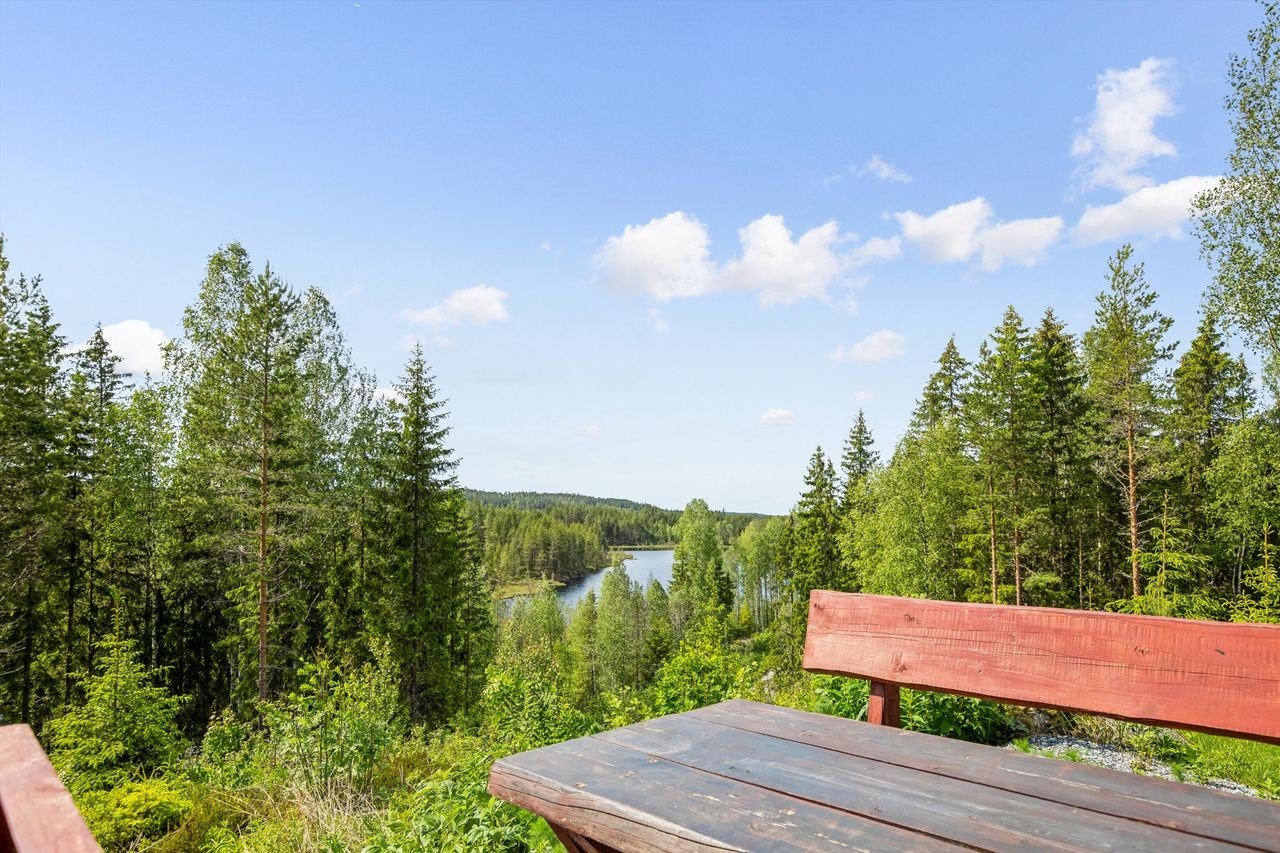 Uteplass ved skogshusværet Galleribilde