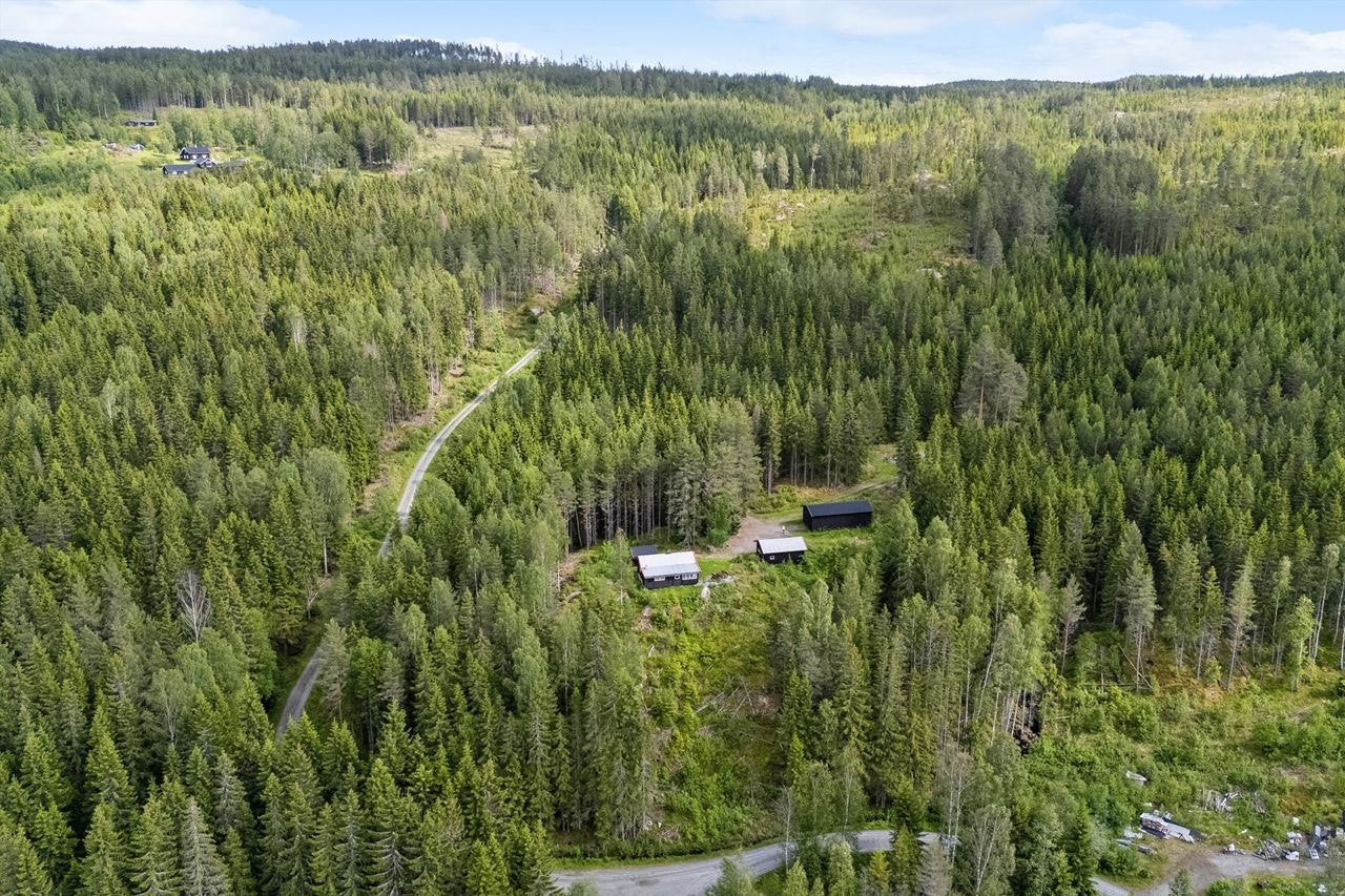 Skogshusværet i forkant, skogen strekker seg på begge sider av vegen oppover. Bildet tatt mot øst Galleribilde