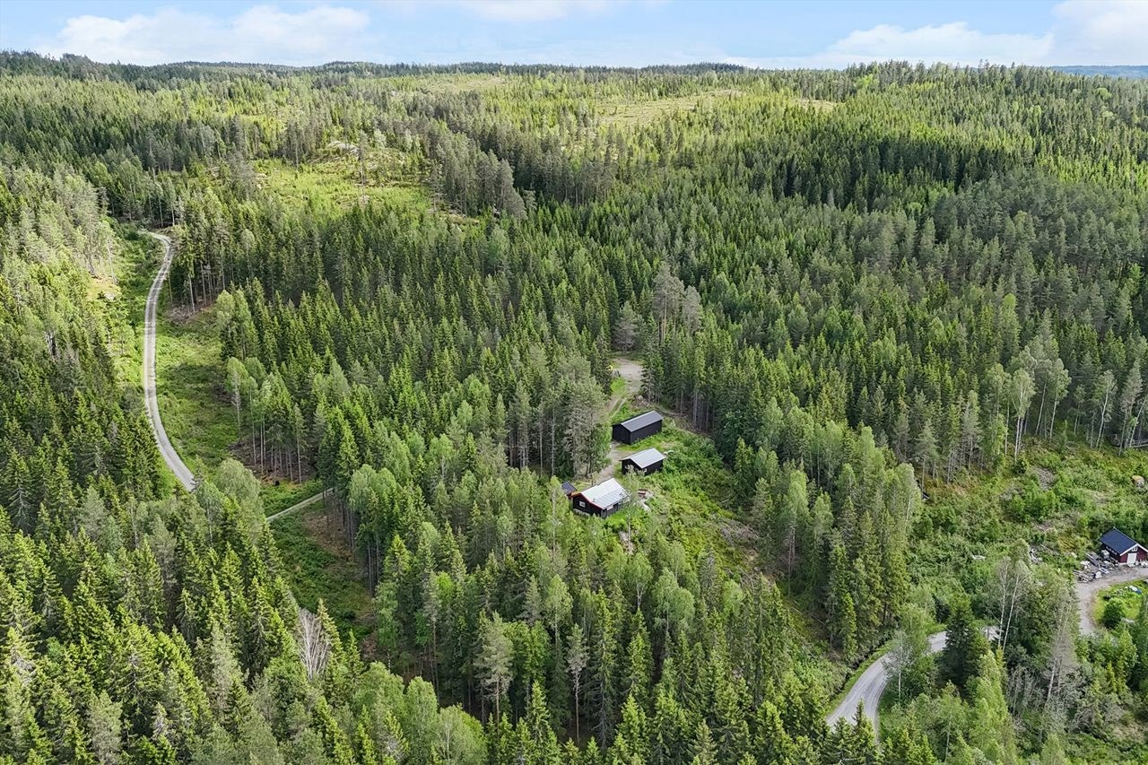 skogshusværet i forkant, bilde tatt mot sørøst. Galleribilde