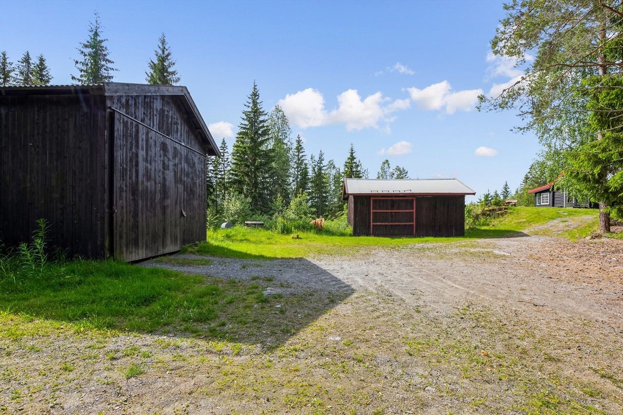 Maskinhus og uthus ved skogshusværet Galleribilde