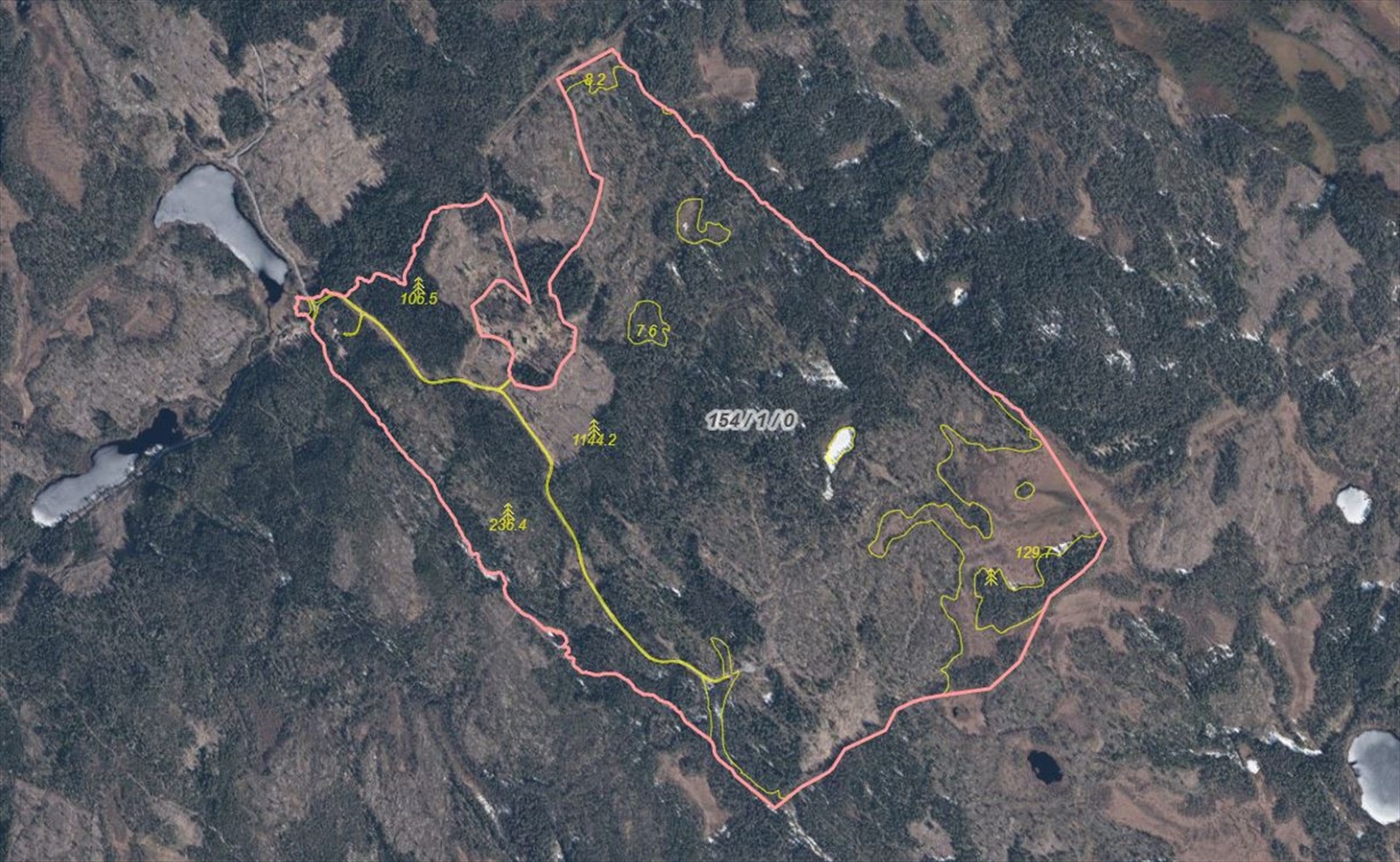 Flyfoto skog Galleribilde