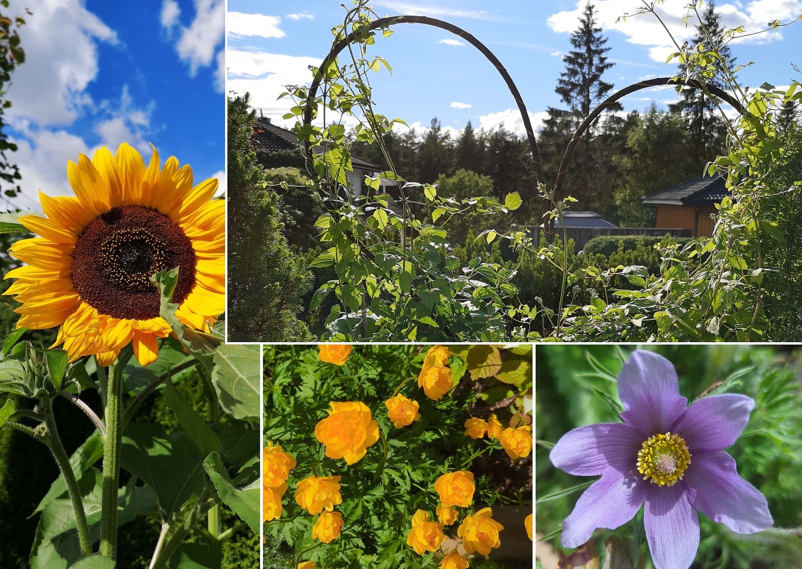 (Selgers egne bilder). Galleribilde