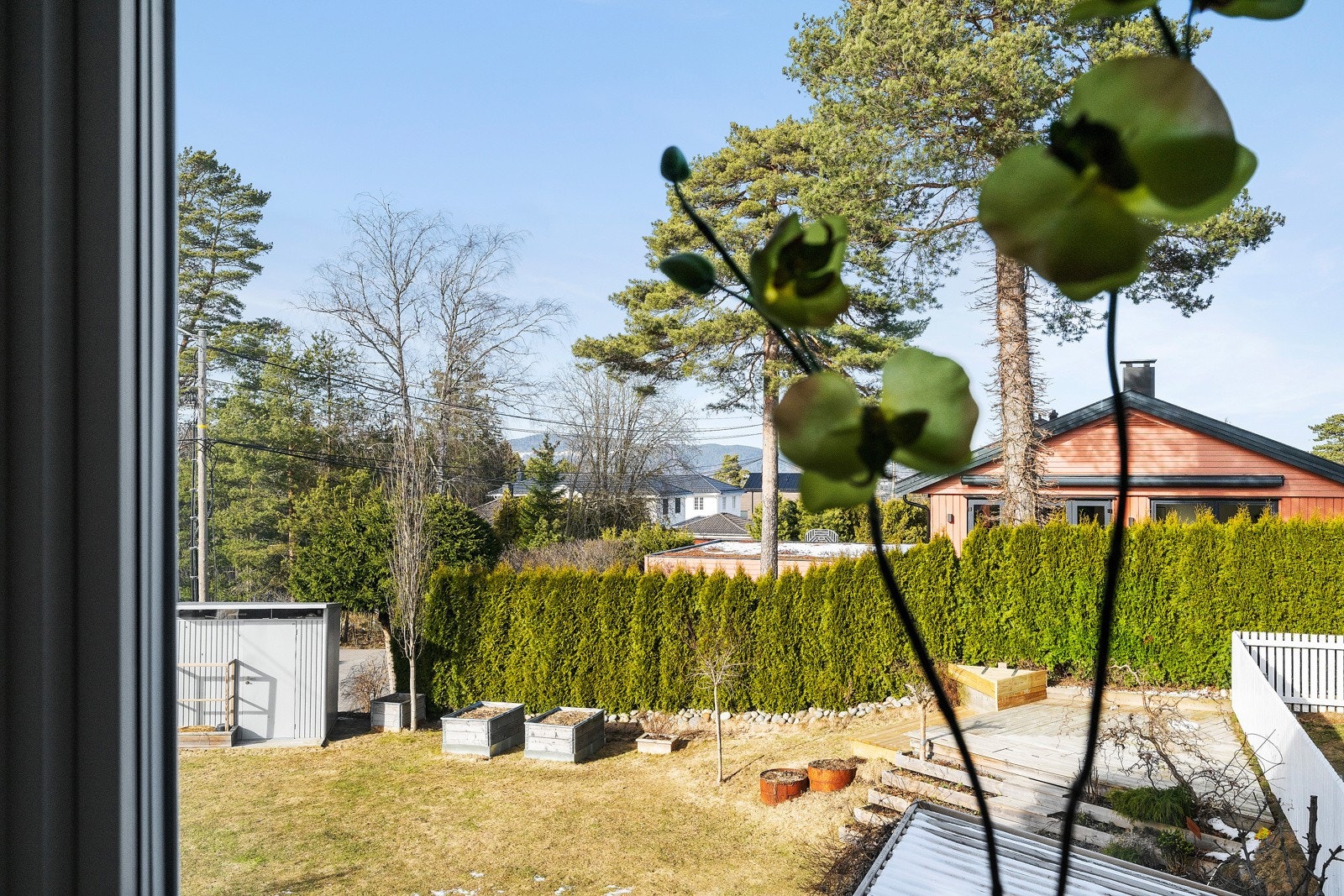 Utsikt mot hagen. Galleribilde