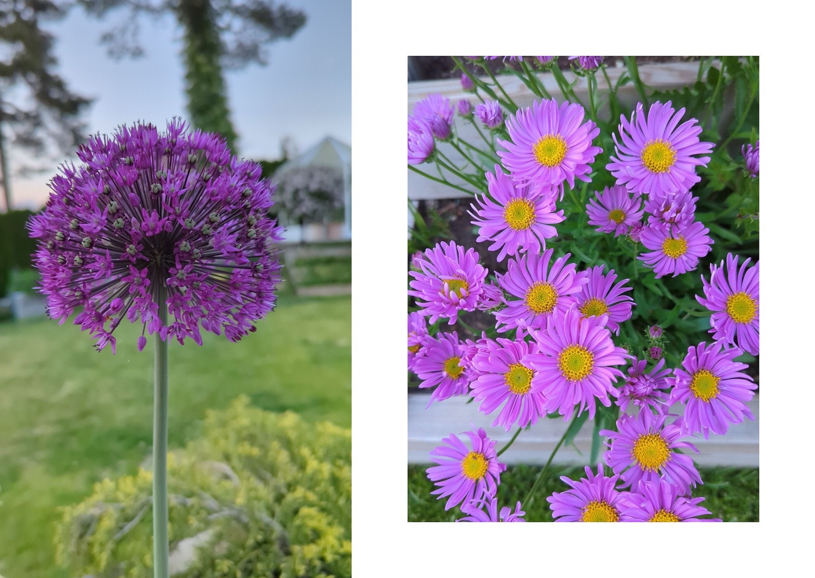 Hagen er svært pent opparbeidet og bugner av blomster, planter og trær på sommerstid. (Selgers egne bilder). Galleribilde