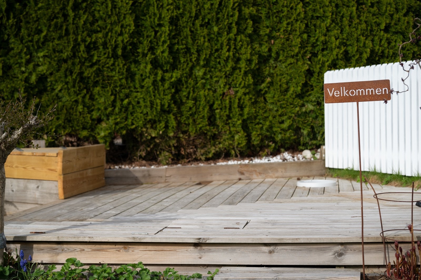 Platting med gode solforhold fra tidlig formiddag. Galleribilde