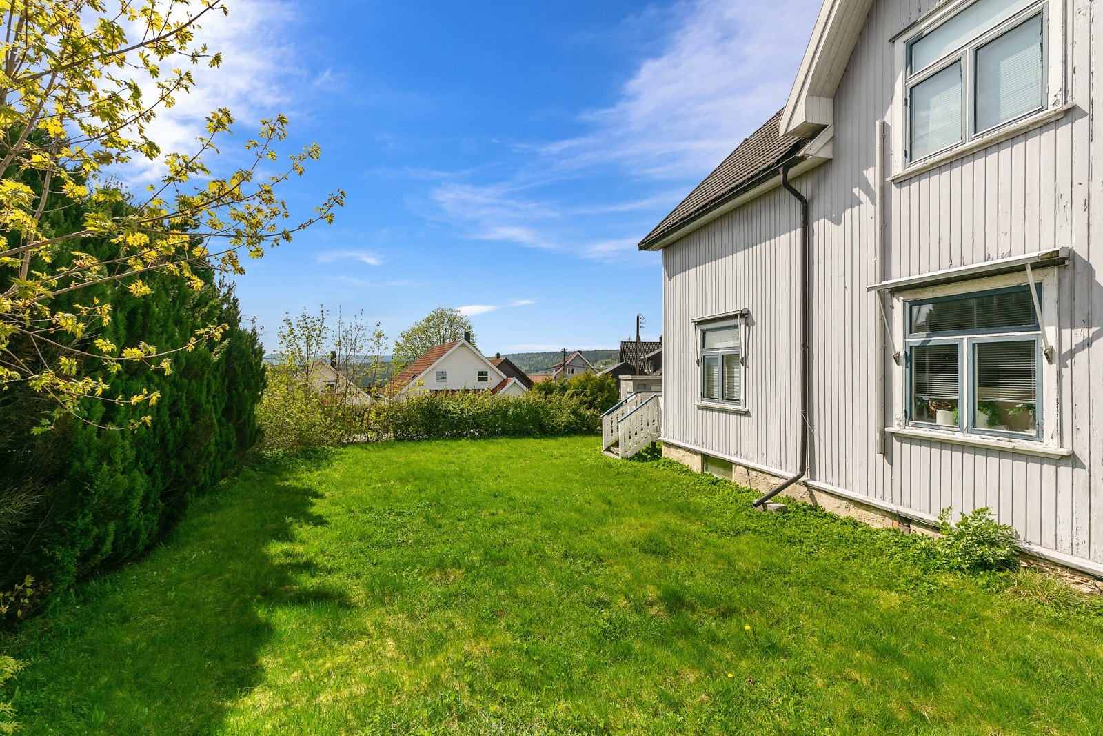 Tomt med noe beplatning og hekker Galleribilde