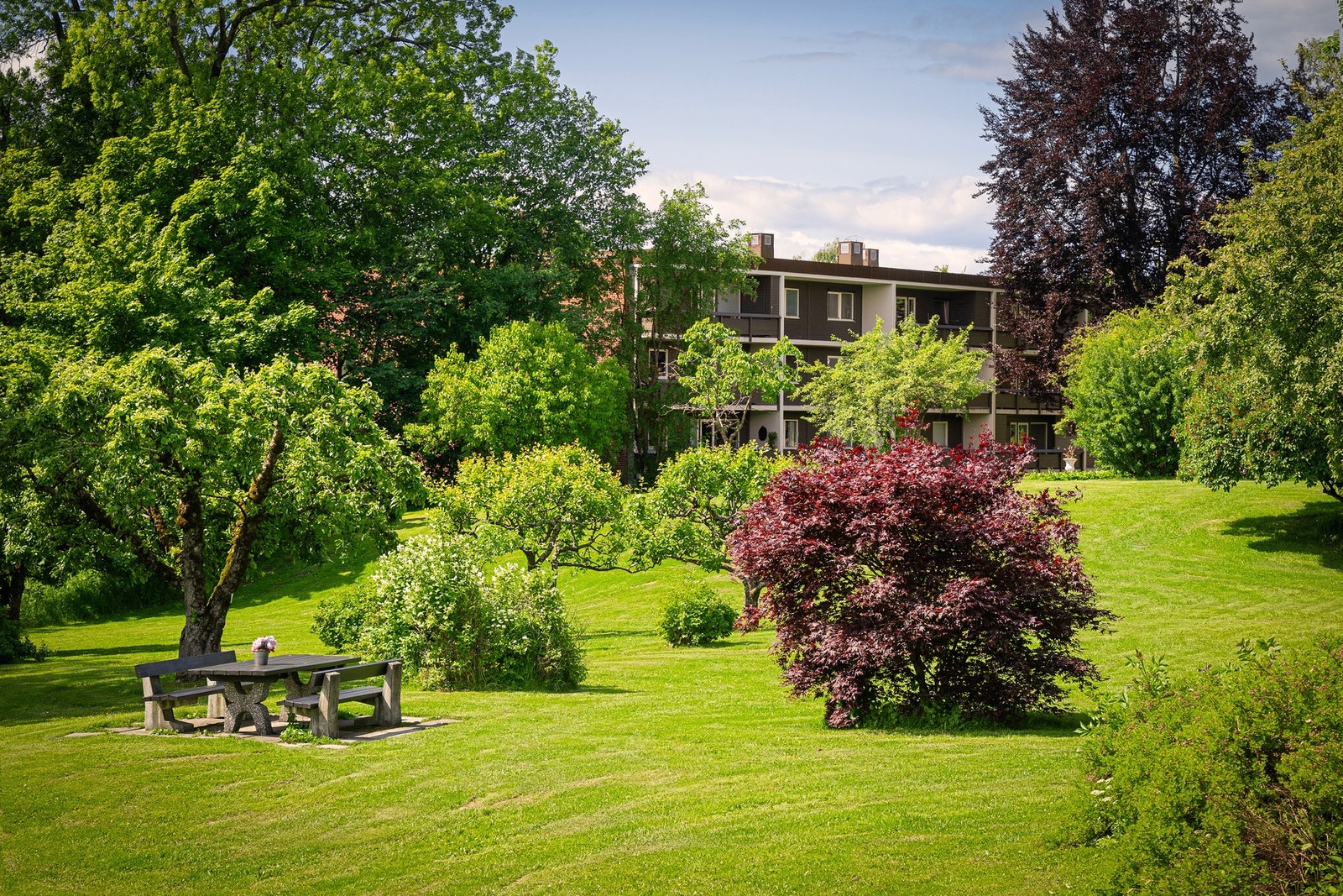 Nærområdet byr på bilfrie grøntområder og flere lekeplasser for de små. Galleribilde