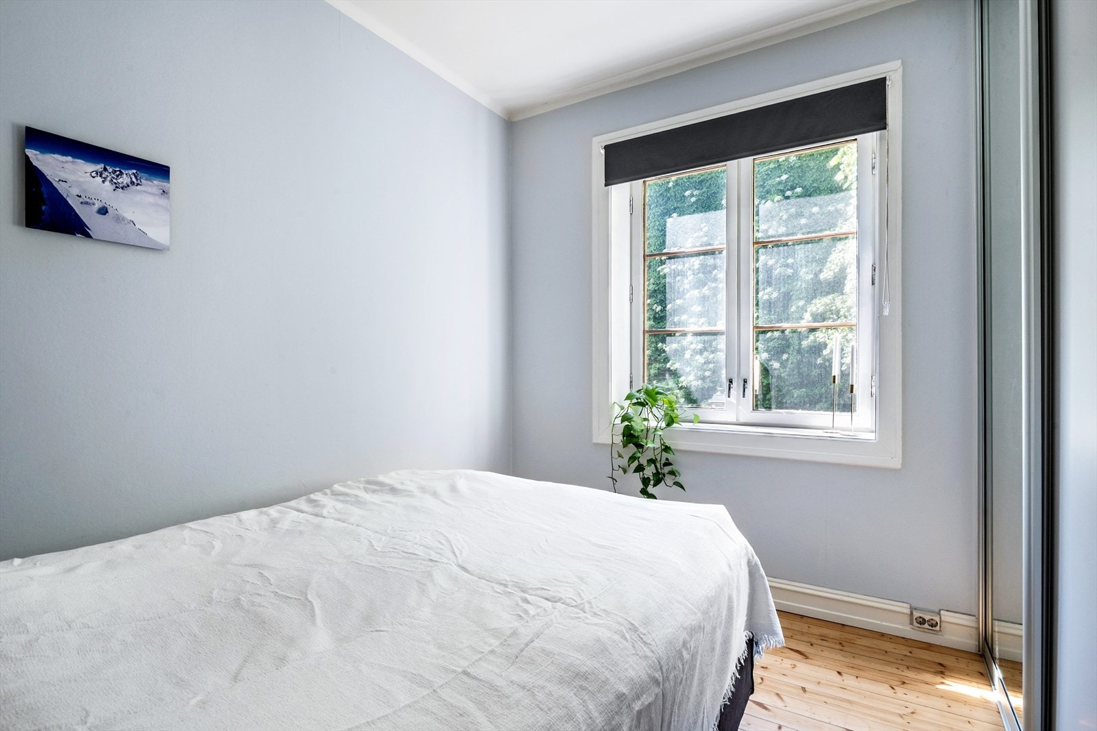 Rikelig med lysinnslipp gjennom store vindusflater. Galleribilde