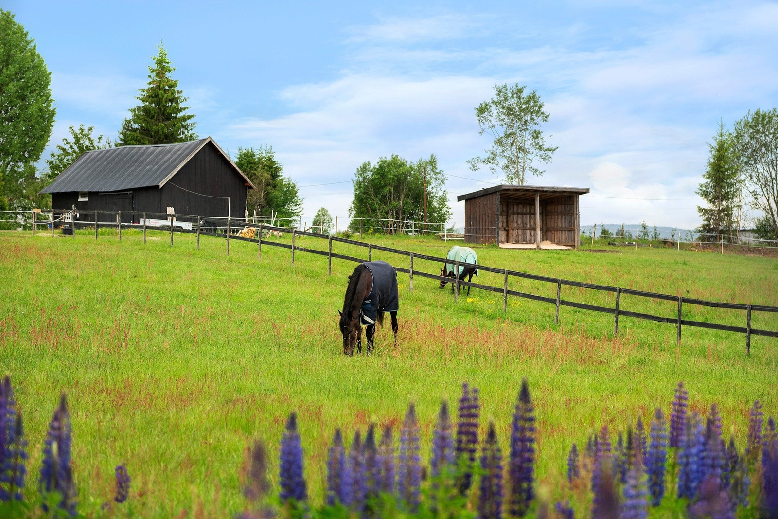 Naturskjønn utsikt fra terrassen Galleribilde