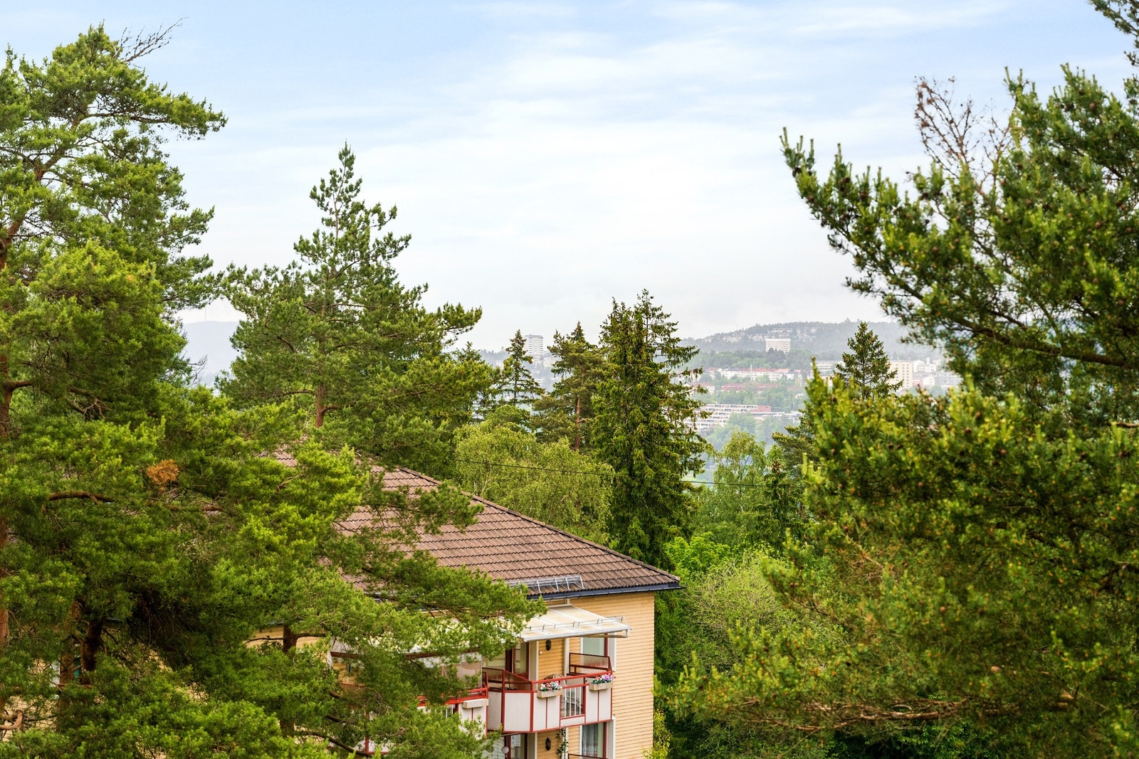 Her bor du fint til i frodige omgivelser. Galleribilde