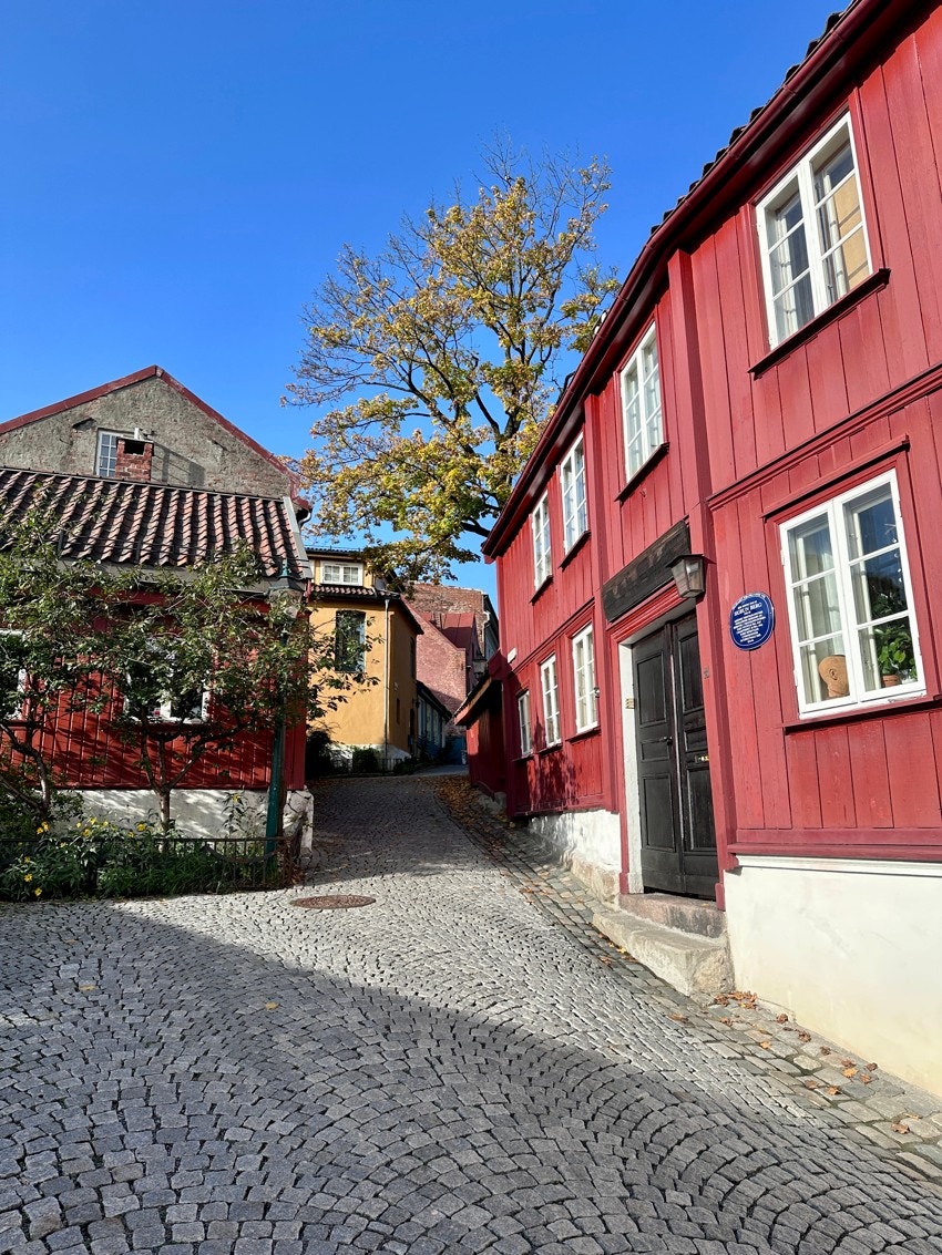 Idylliske Damstredet ligger like ved med sin flotte trehusbebyggelse fra 1800-tallet. Galleribilde