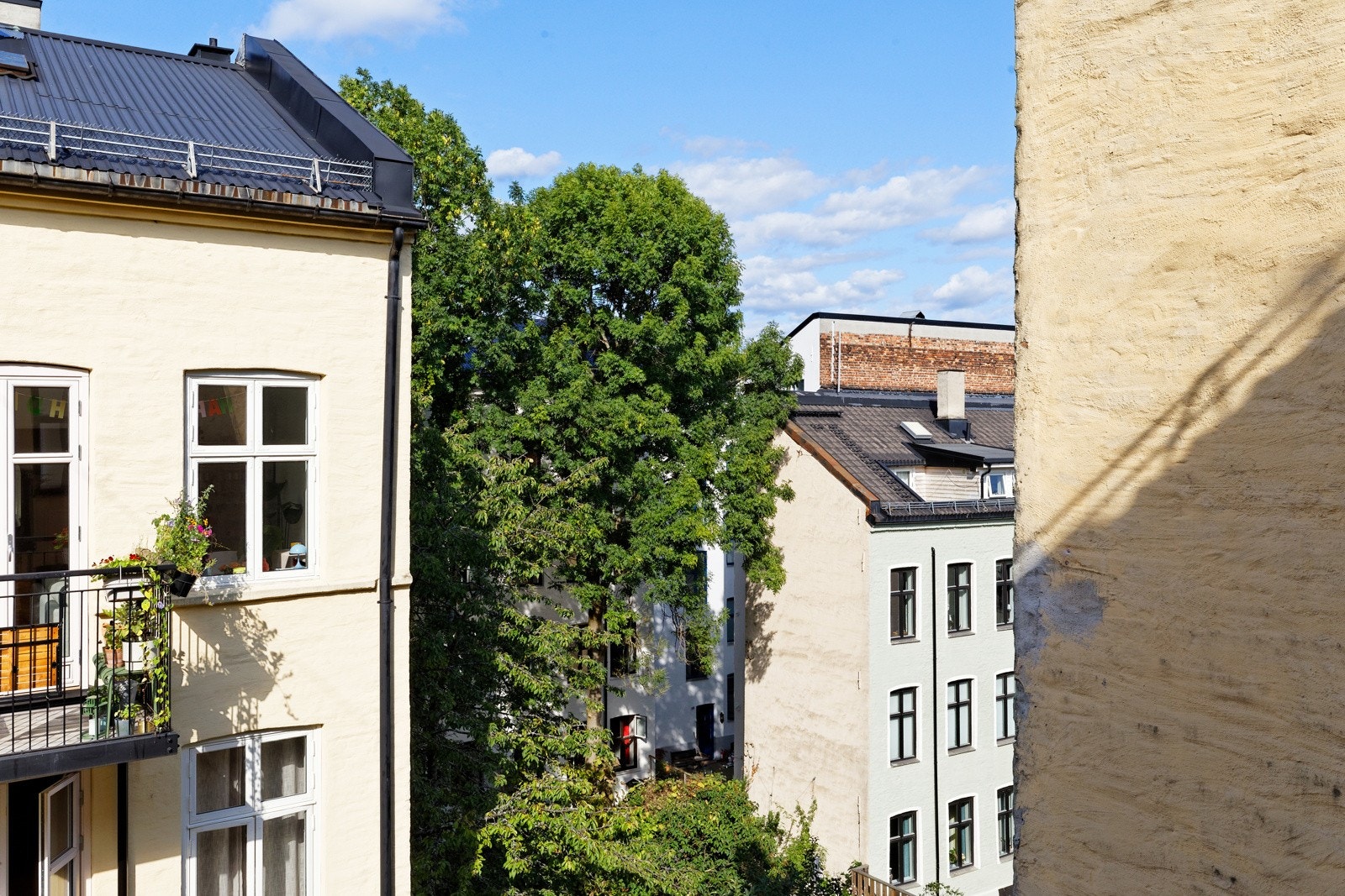 En oase på sommerstid! Galleribilde